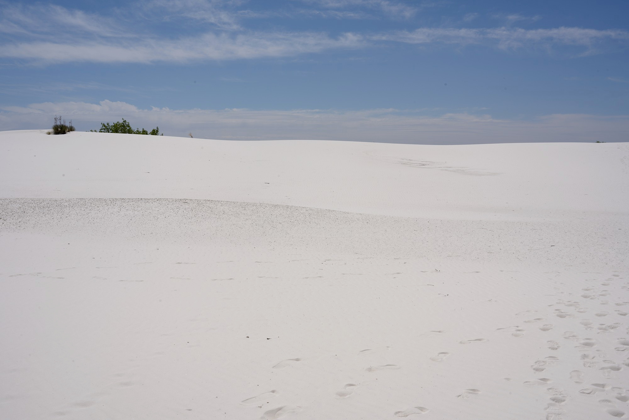 White Sand National Park (39)