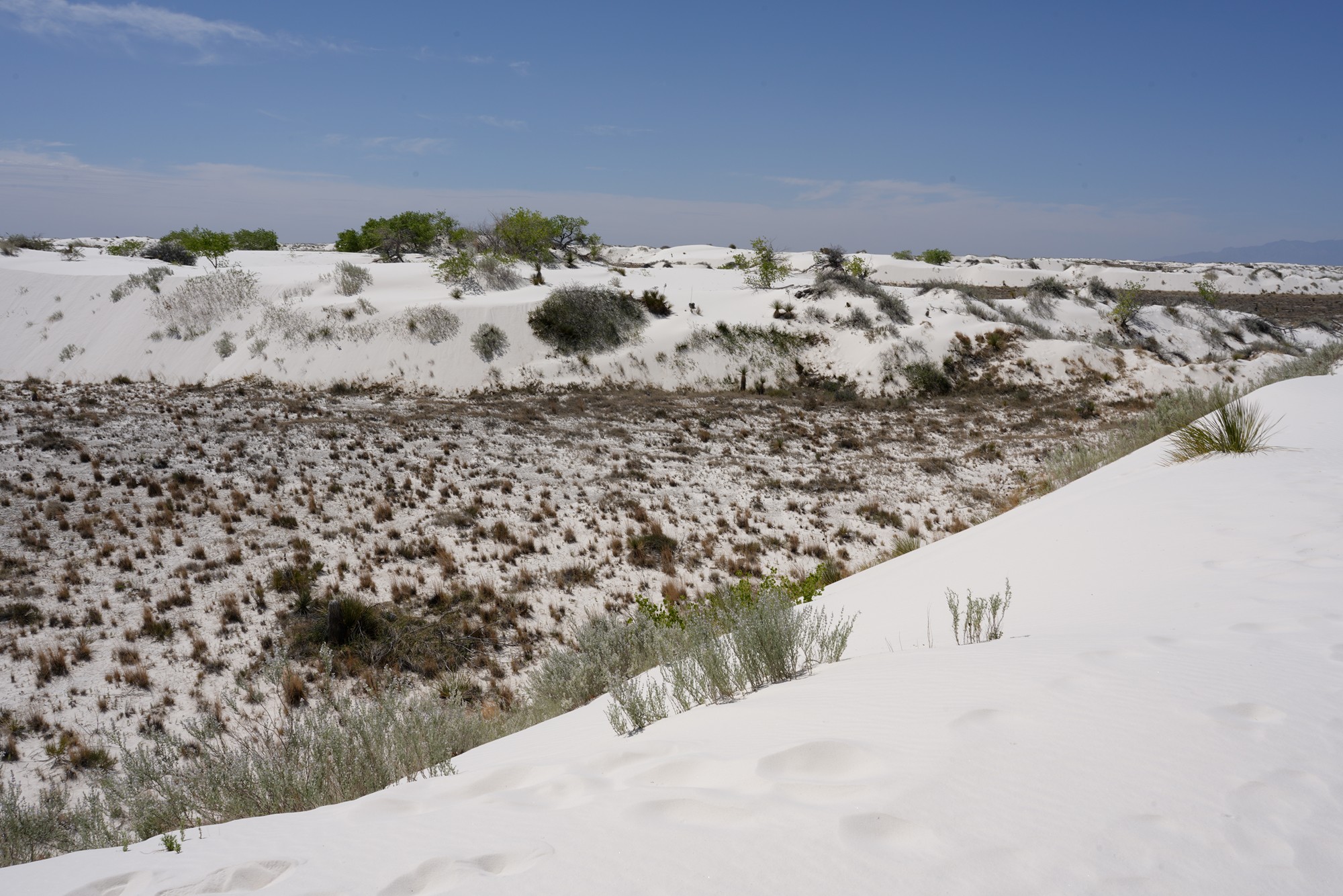 White Sand National Park (40)