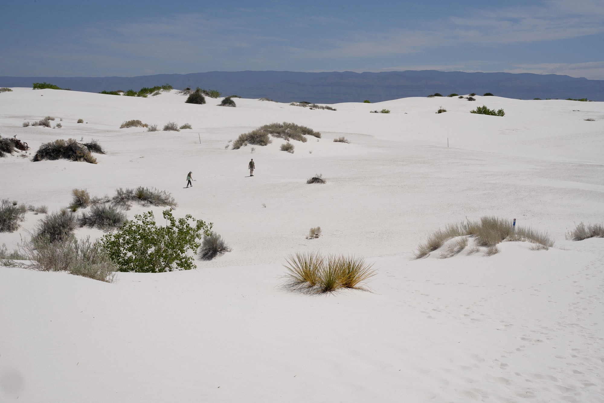 White Sand National Park (42)