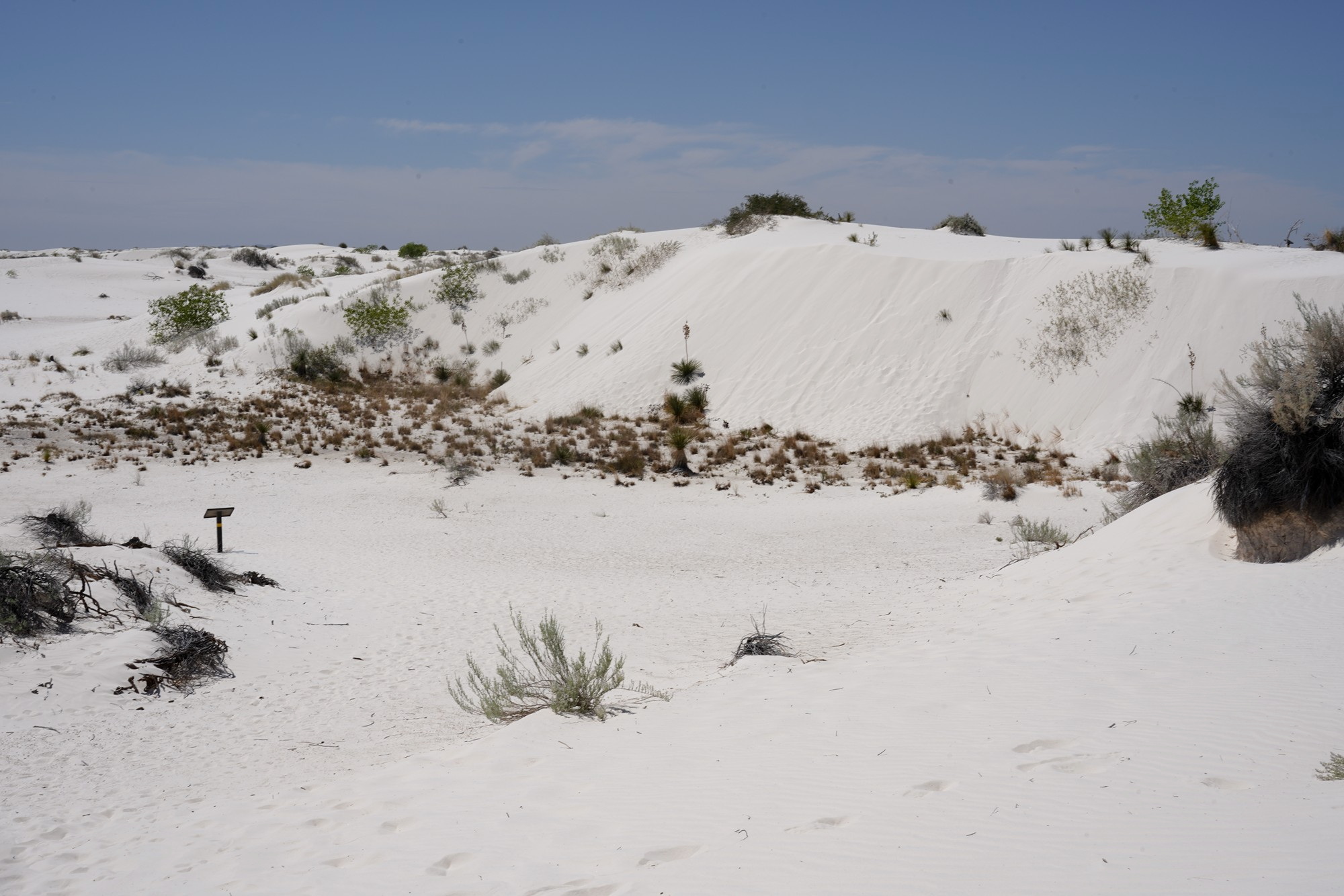 White Sand National Park (43)