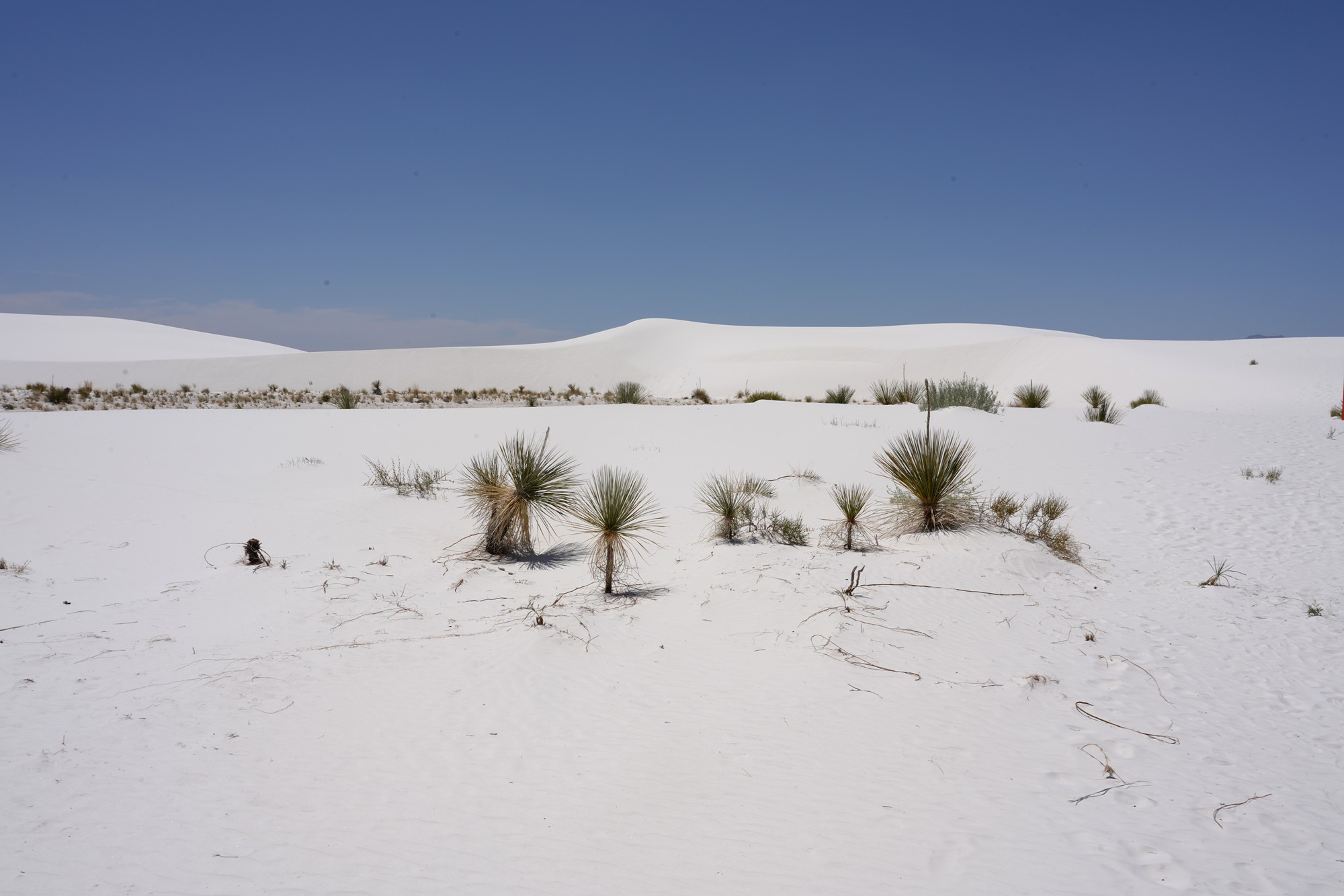 White Sand National Park (49)