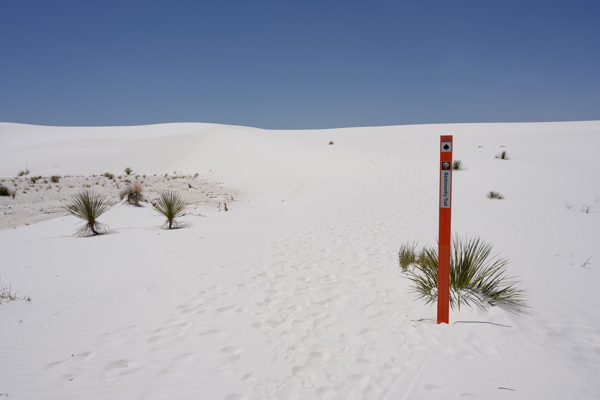 White Sand National Park (50)
