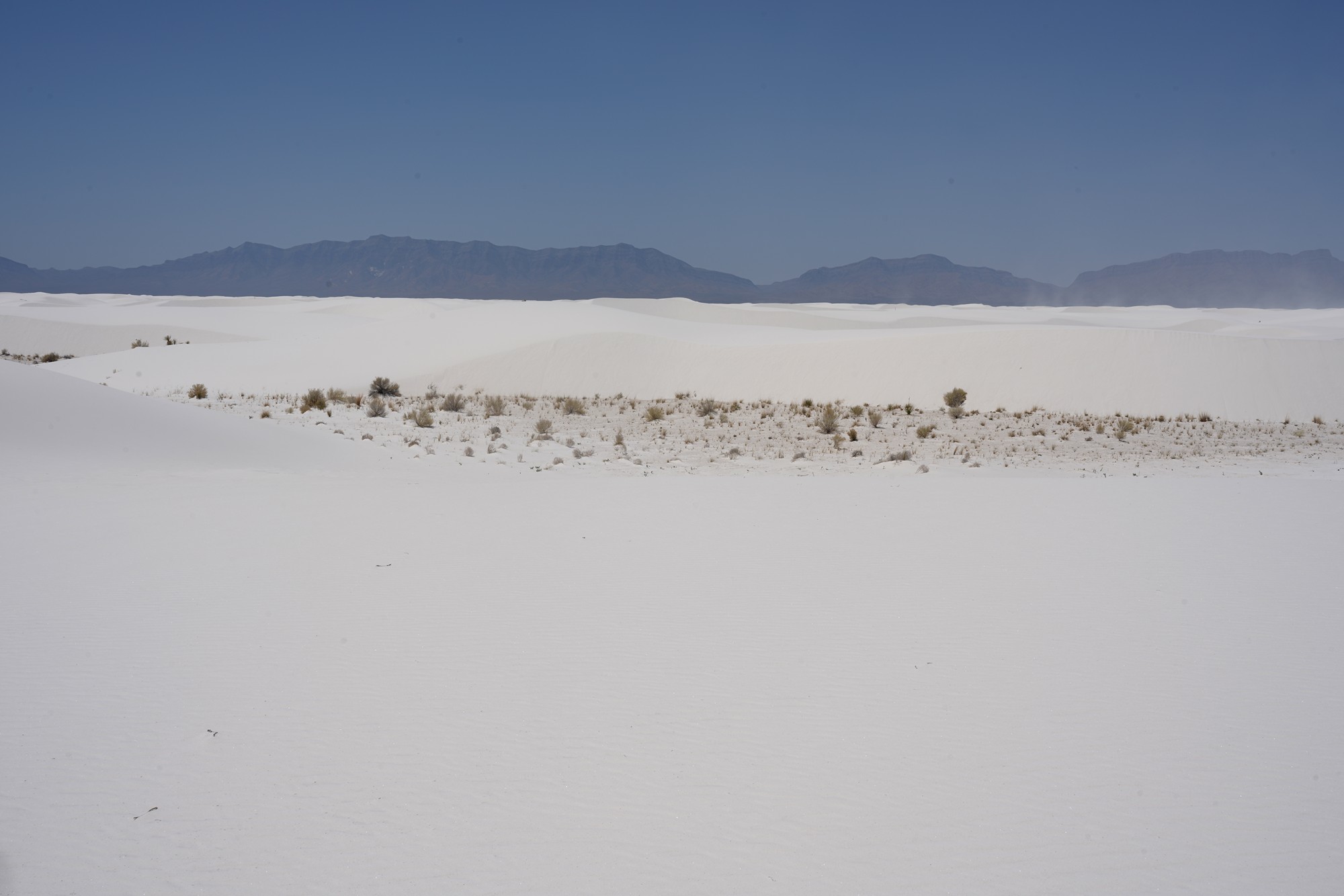 White Sand National Park (51)