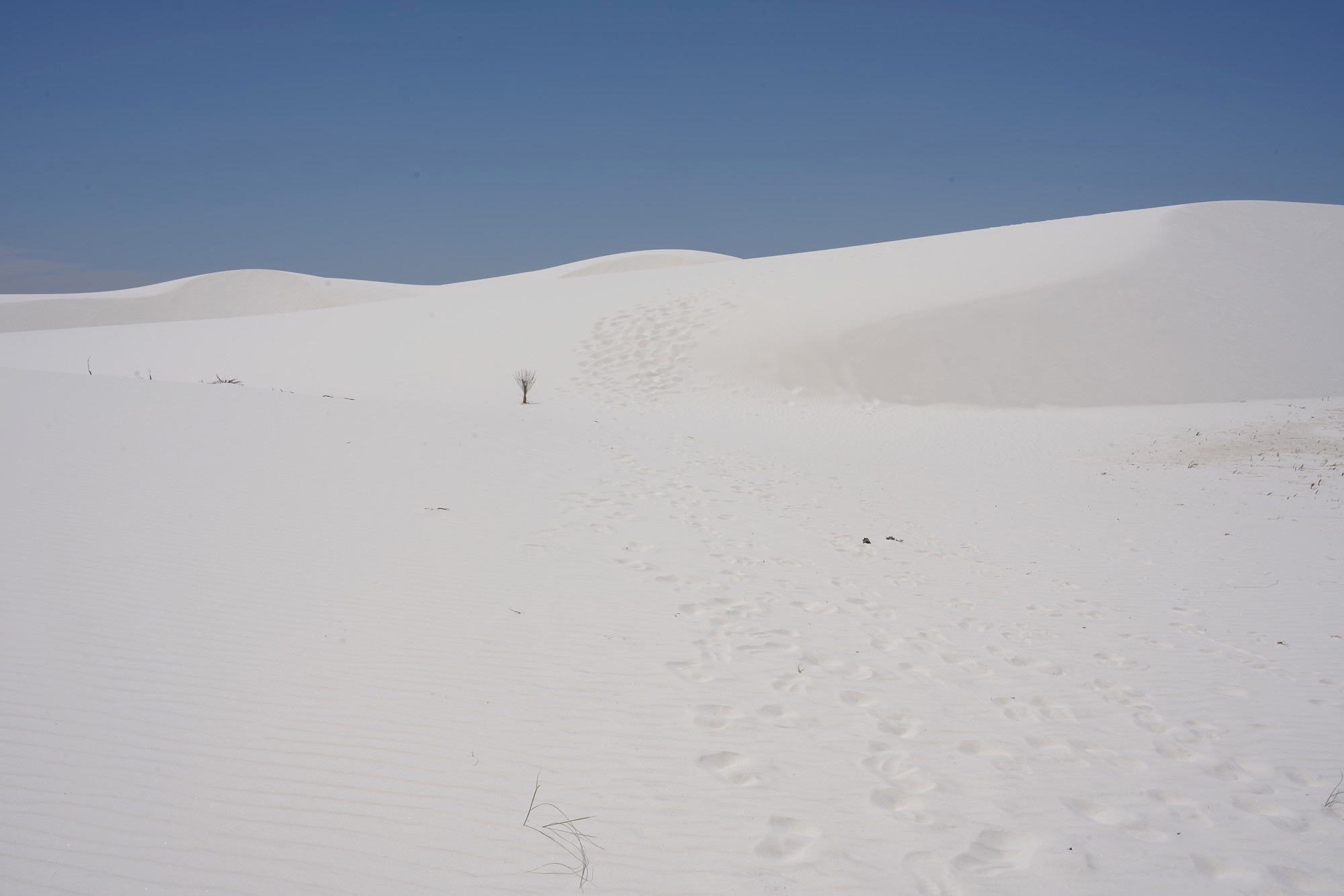 White Sand National Park (54)