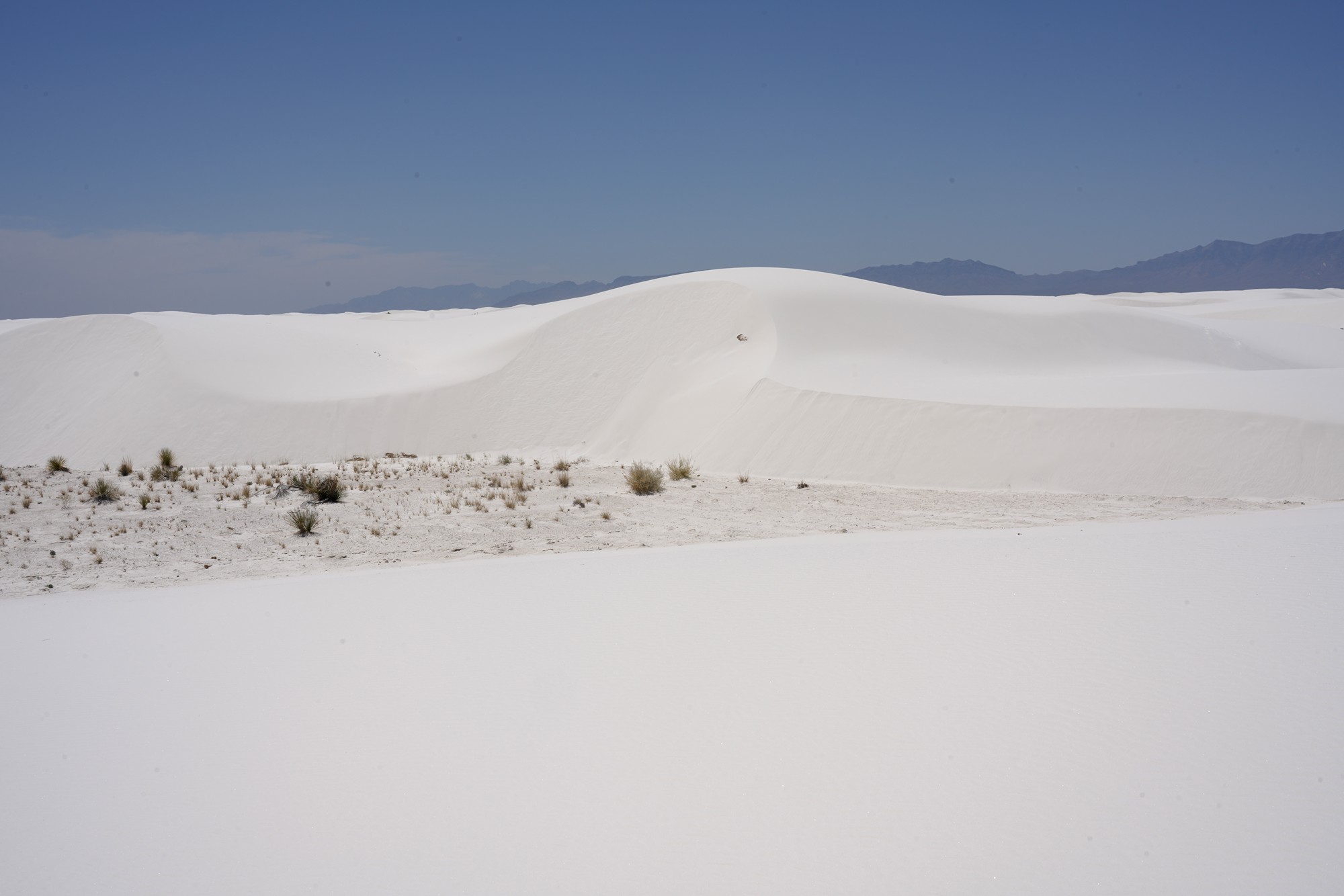 White Sand National Park (55)