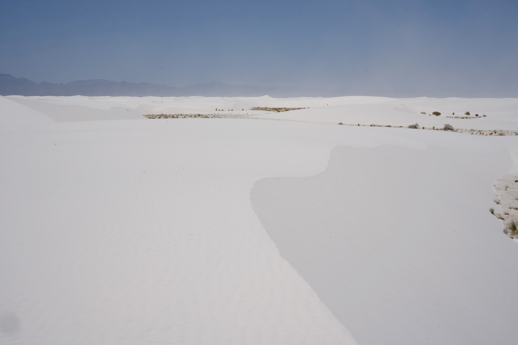 White Sand National Park (56)