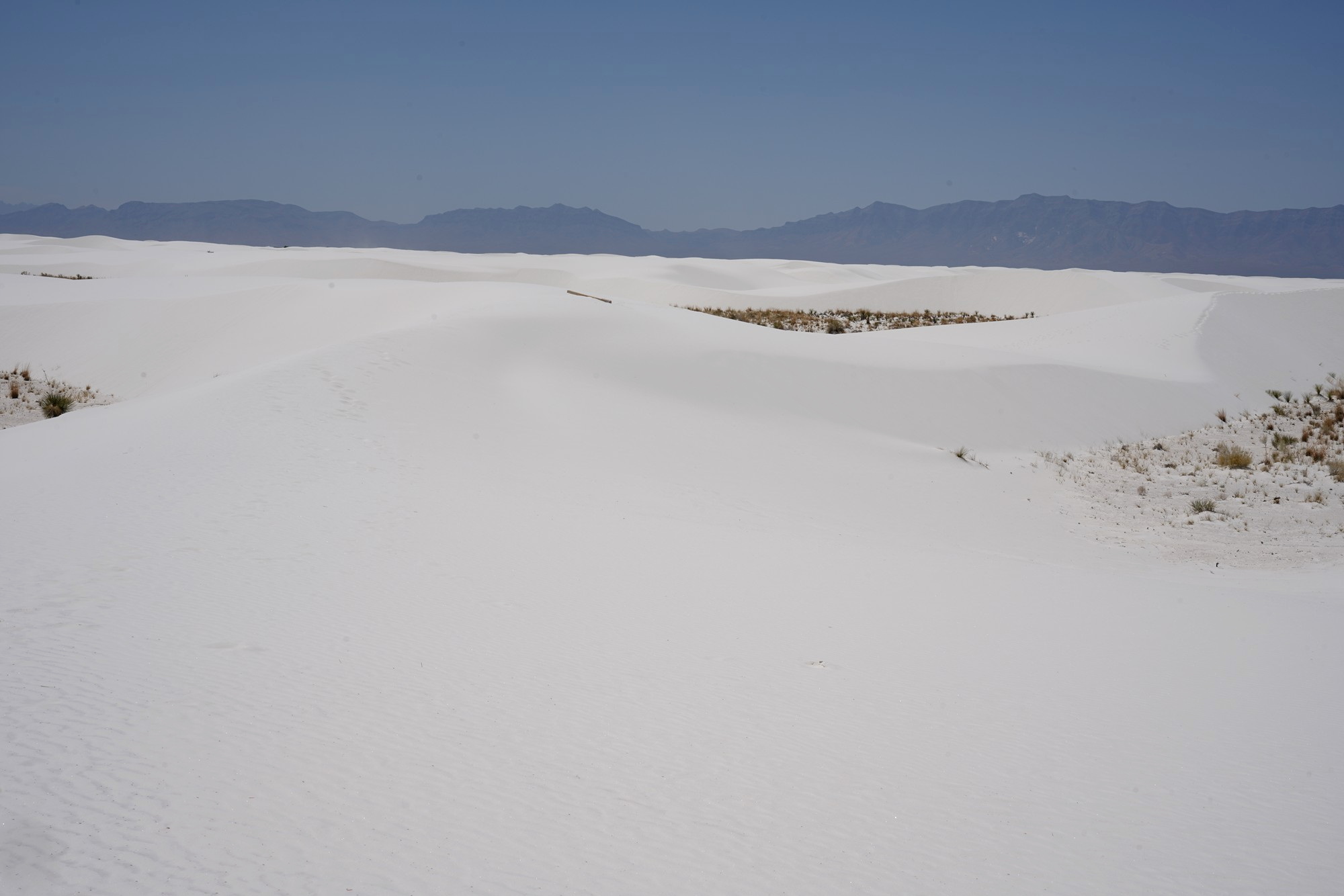 White Sand National Park (57)