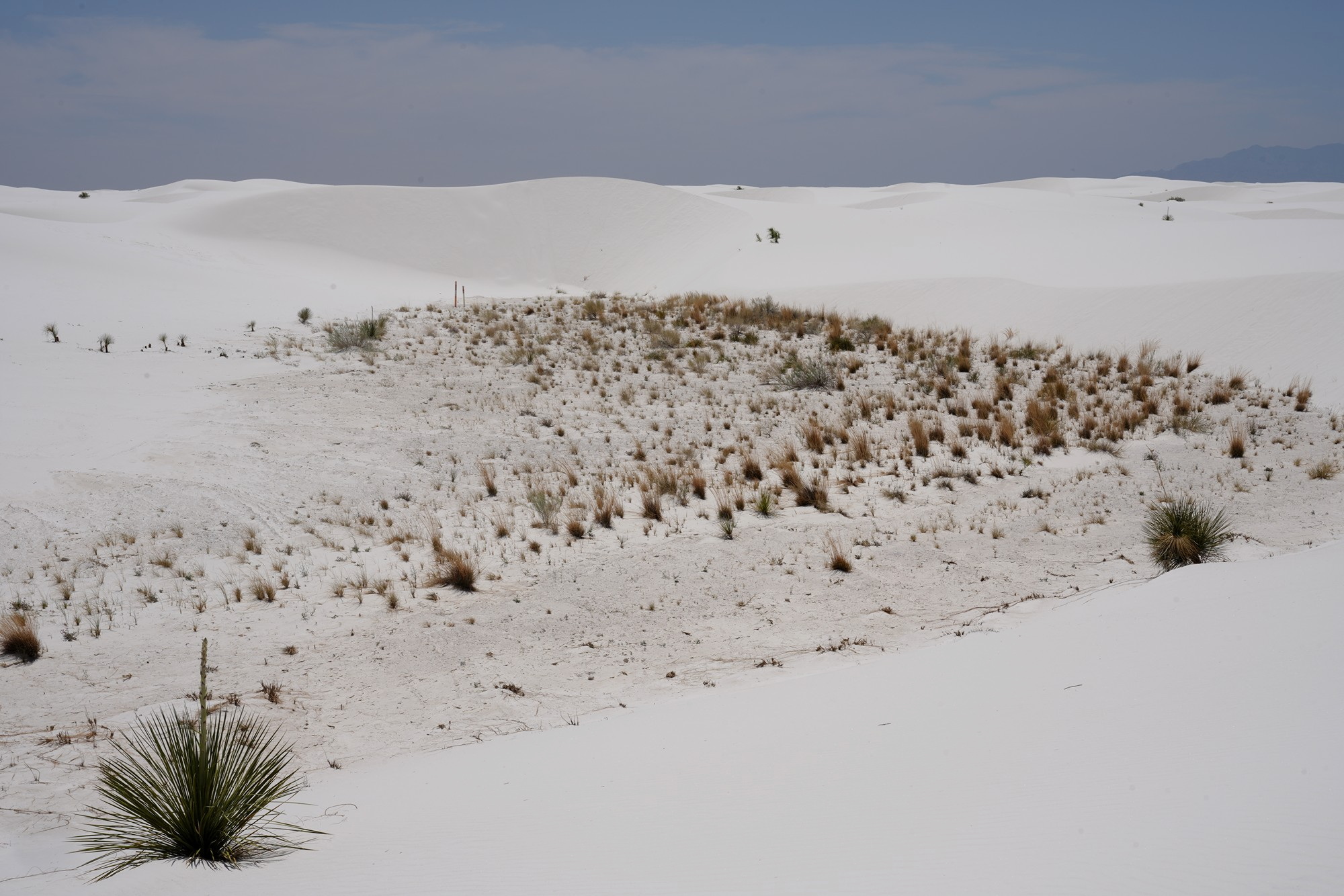 White Sand National Park (58)