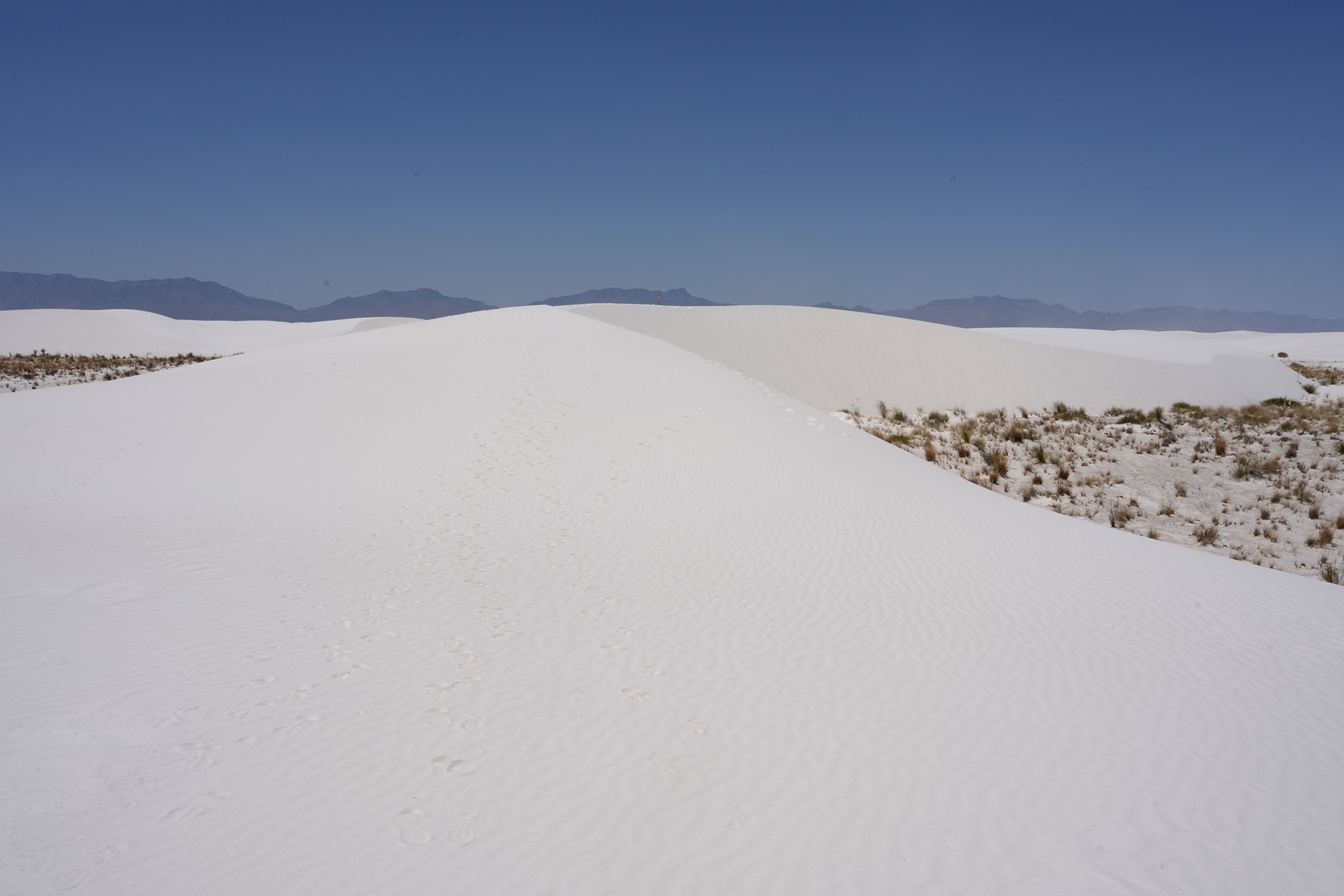White Sand National Park (59)