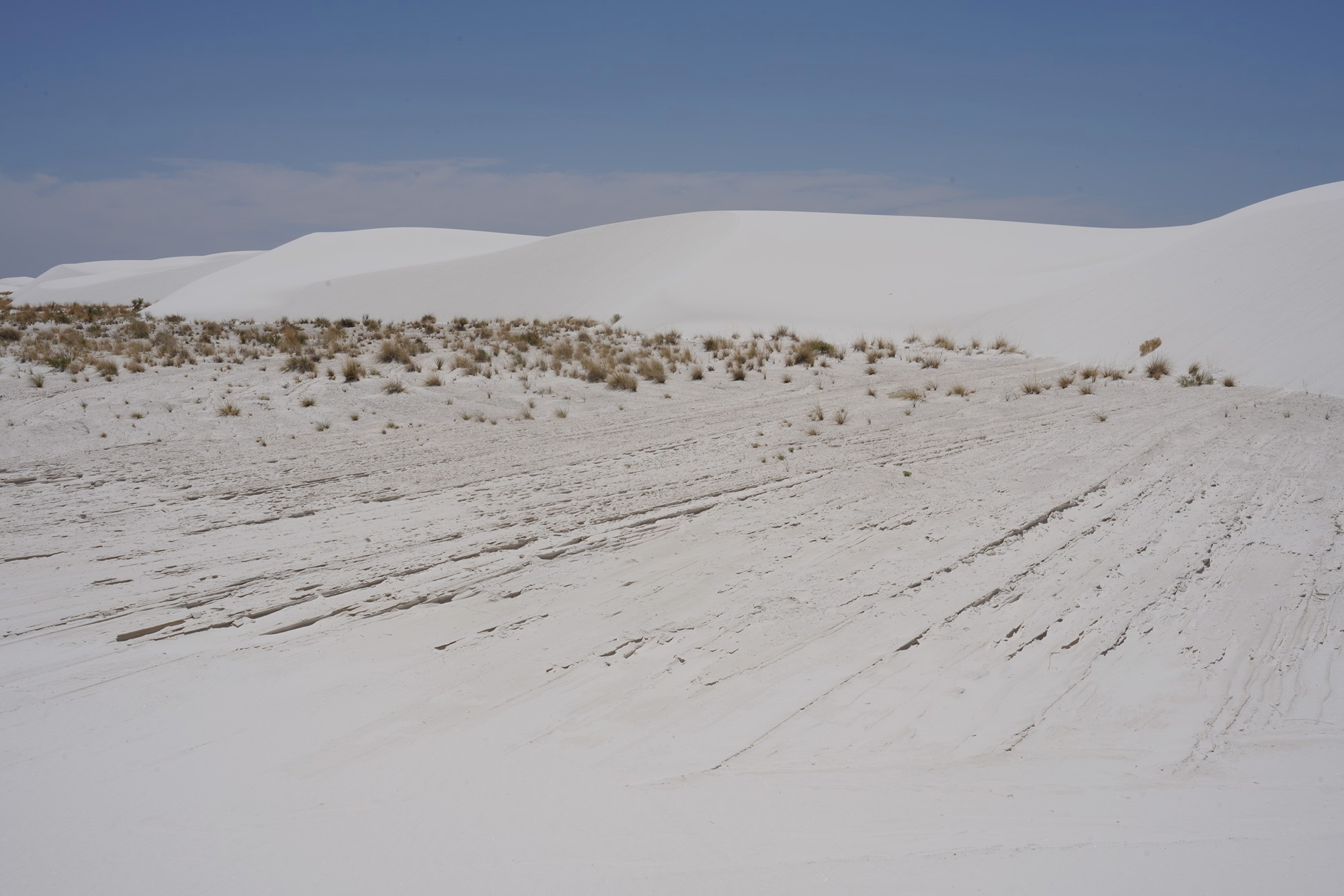 White Sand National Park (61)