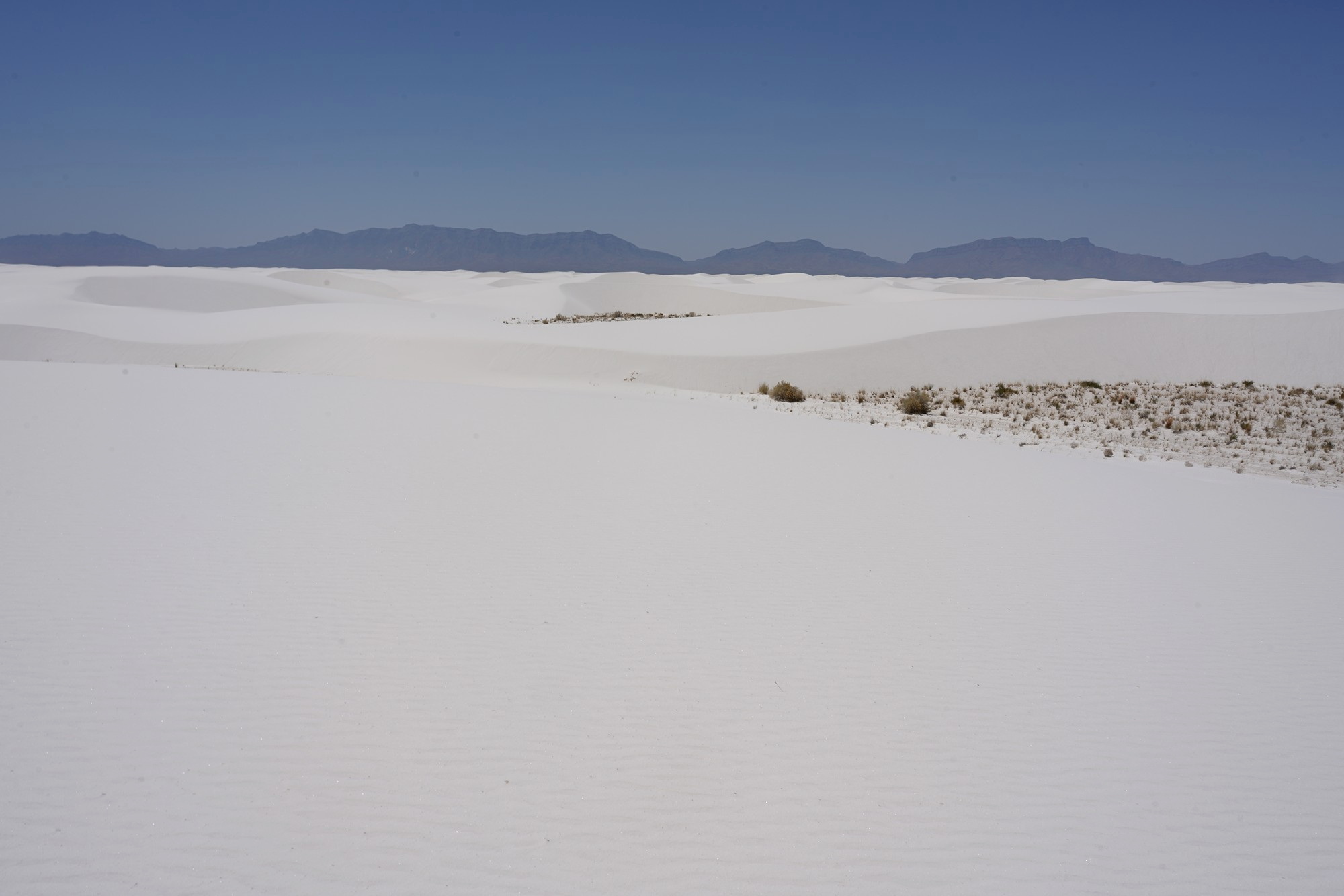 White Sand National Park (66)