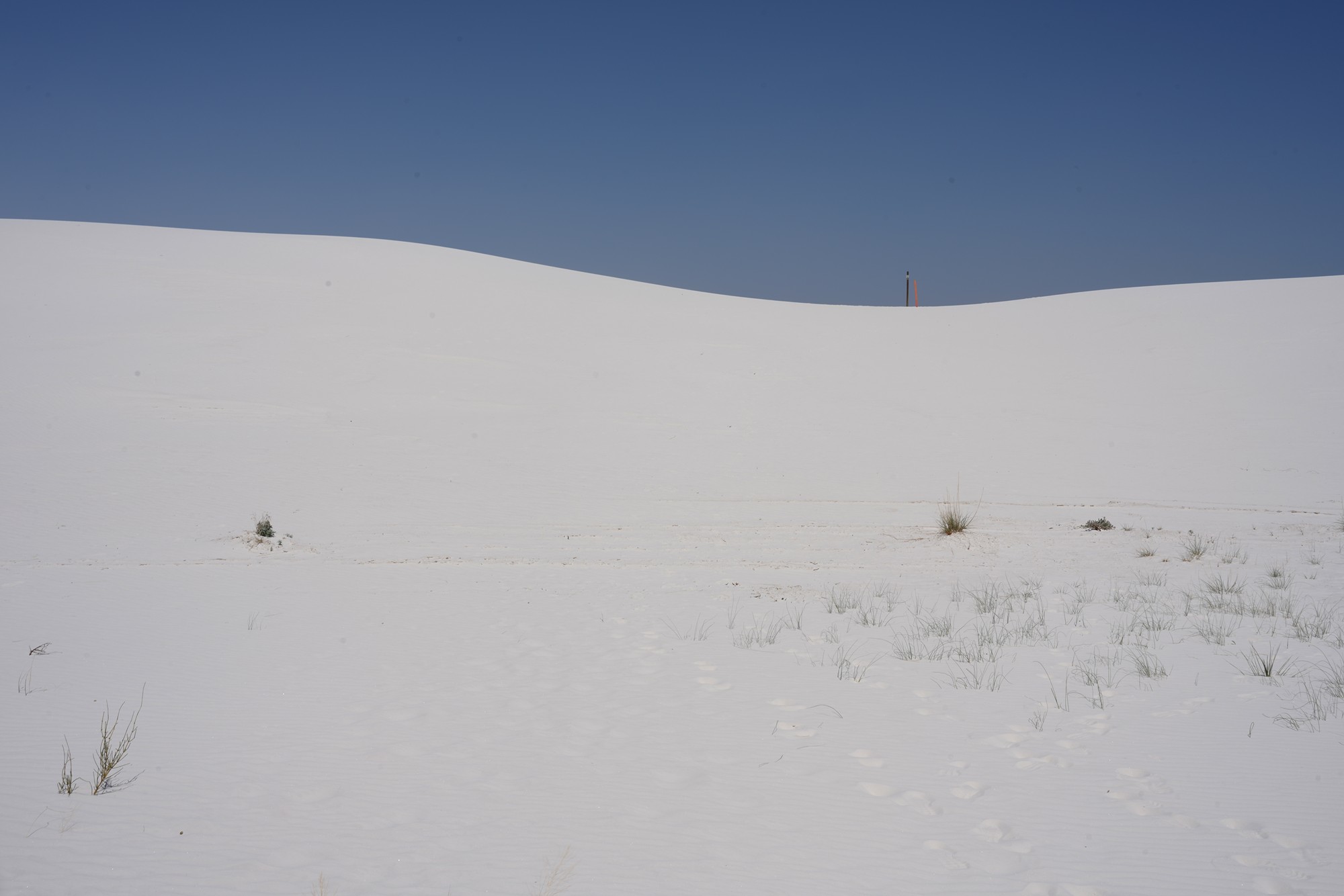 White Sand National Park (68)