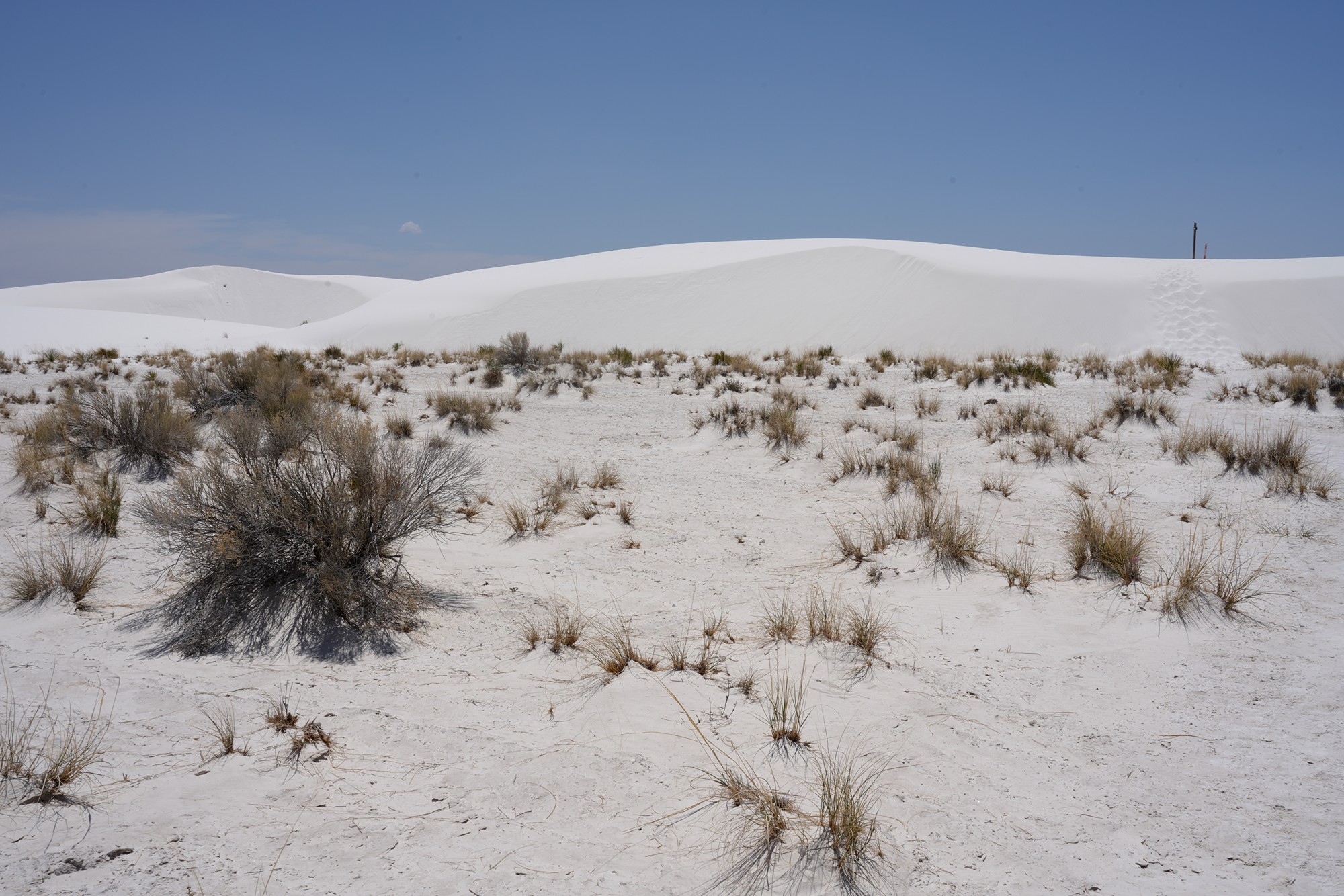 White Sand National Park (69)
