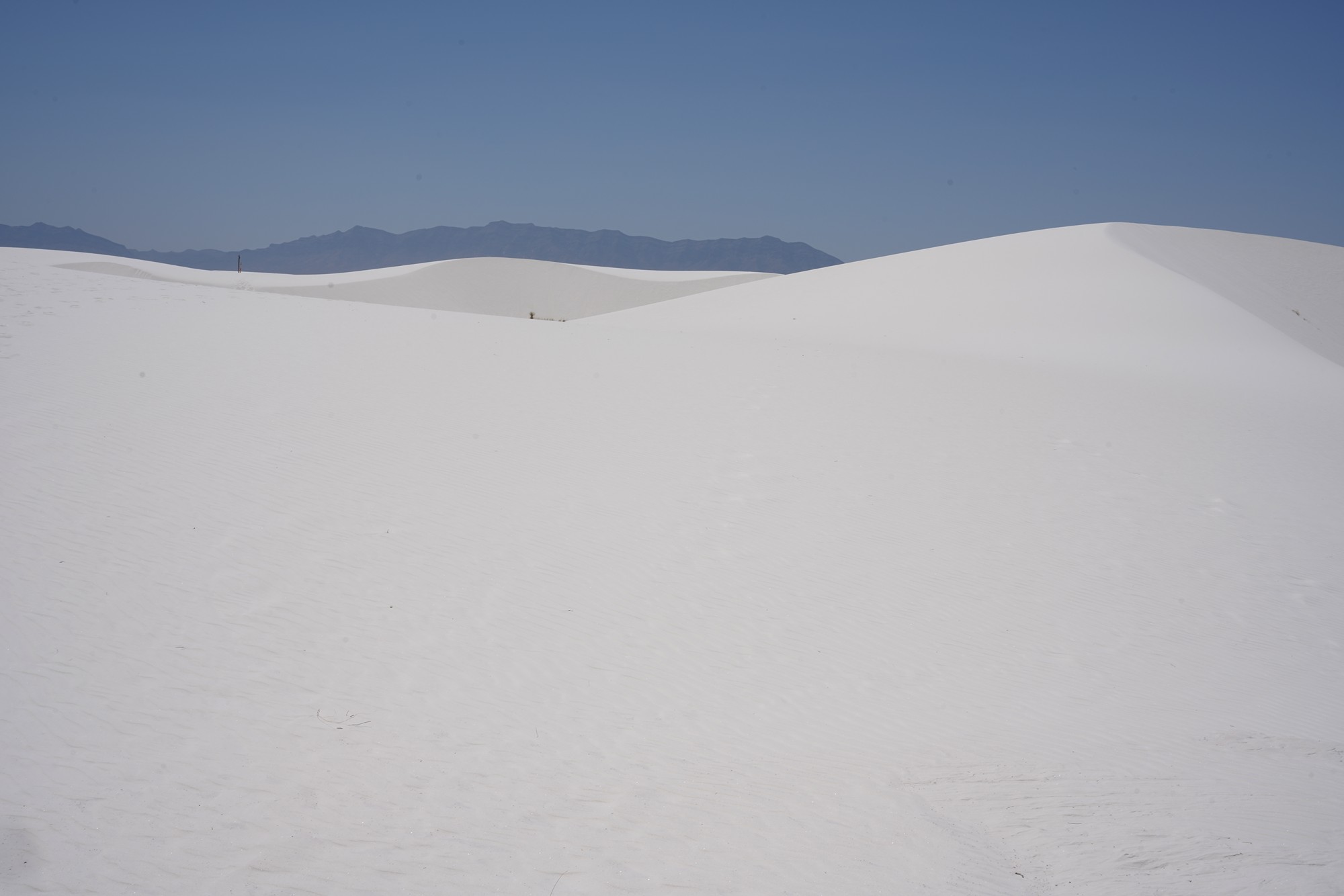 White Sand National Park (70)