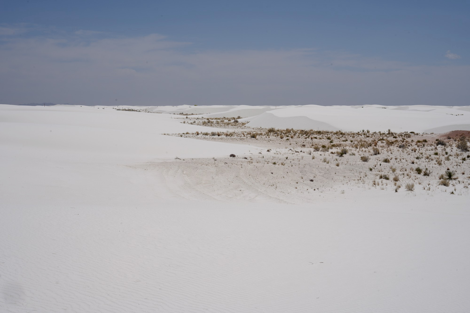 White Sand National Park (72)