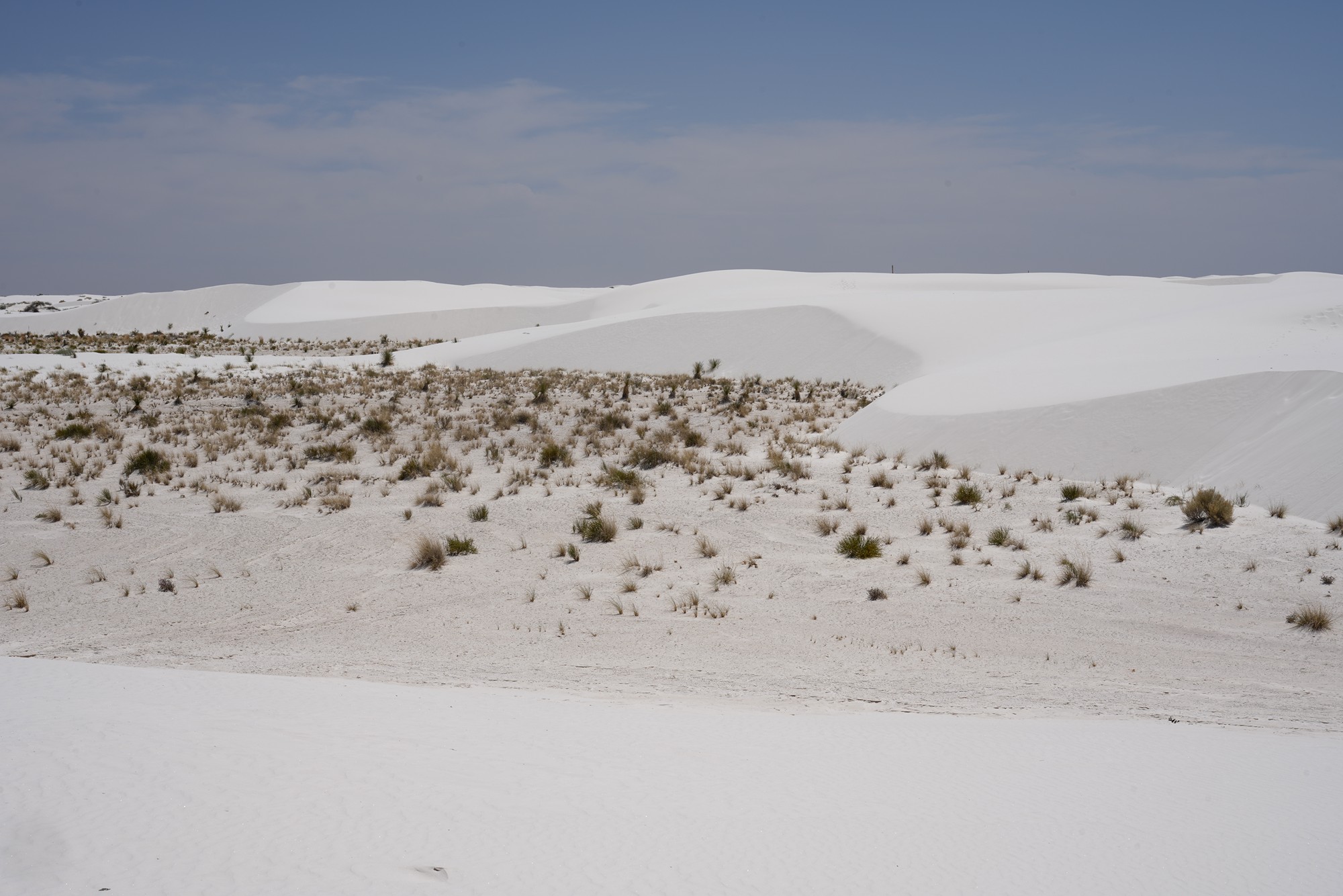 White Sand National Park (73)