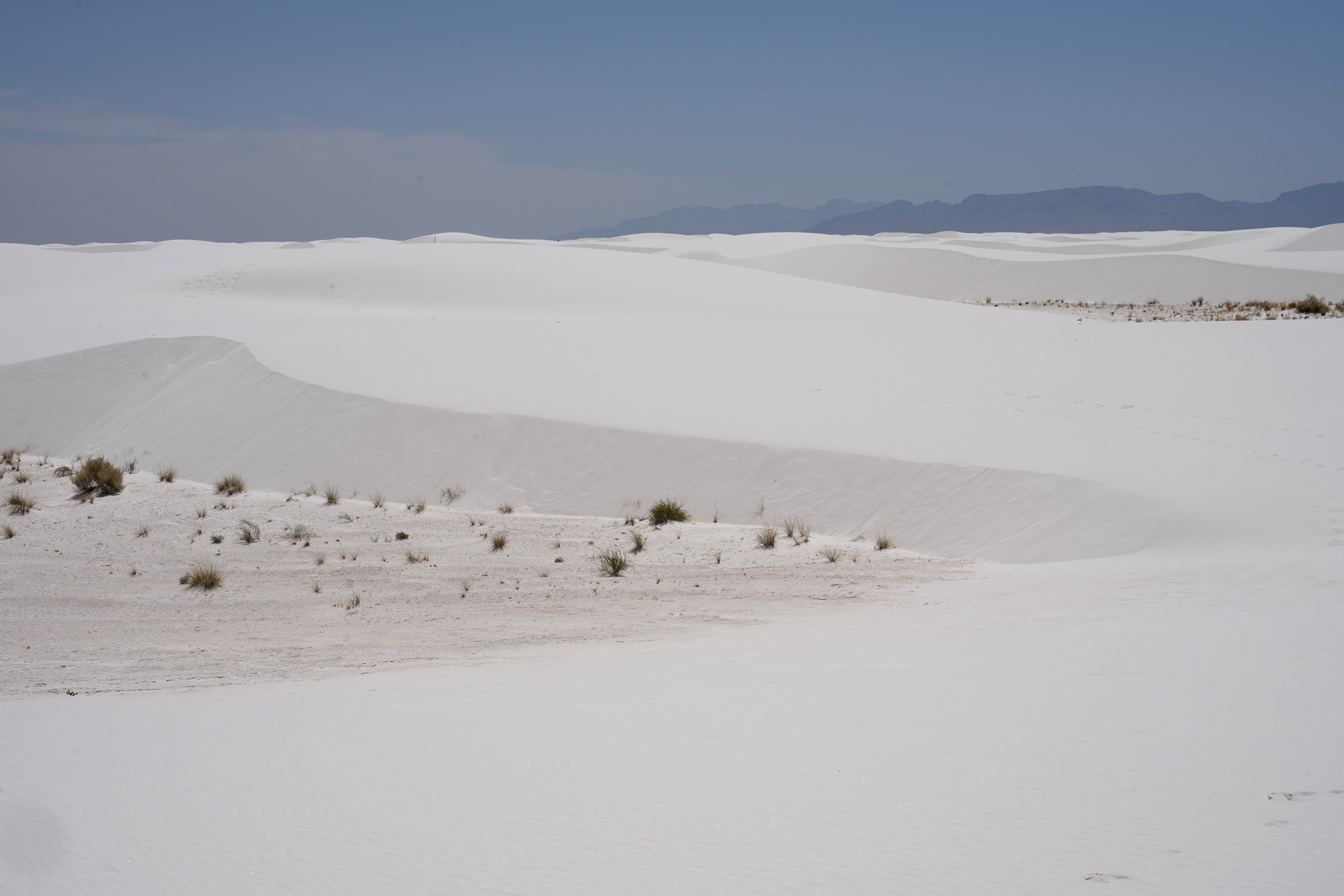 White Sand National Park (74)