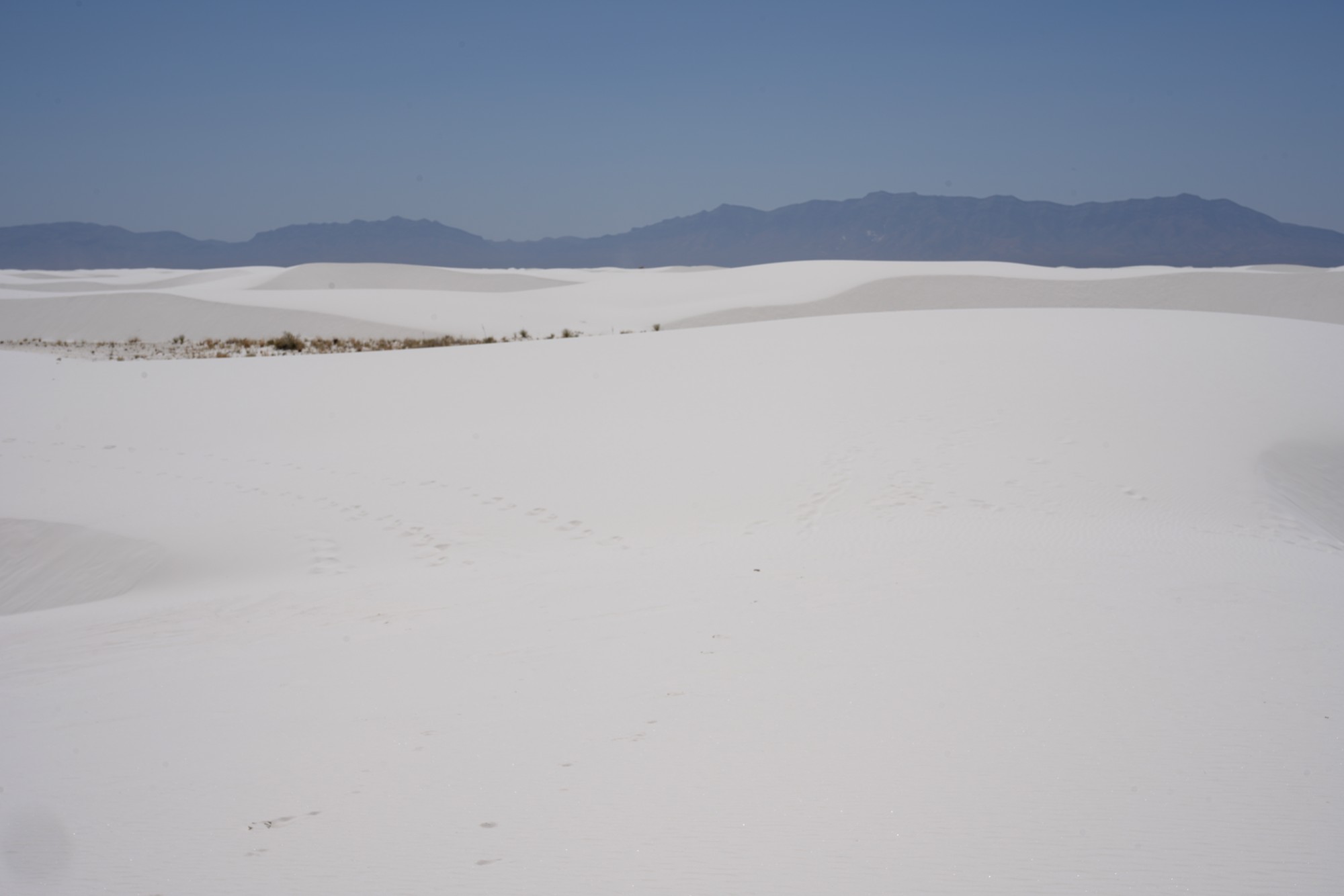 White Sand National Park (75)