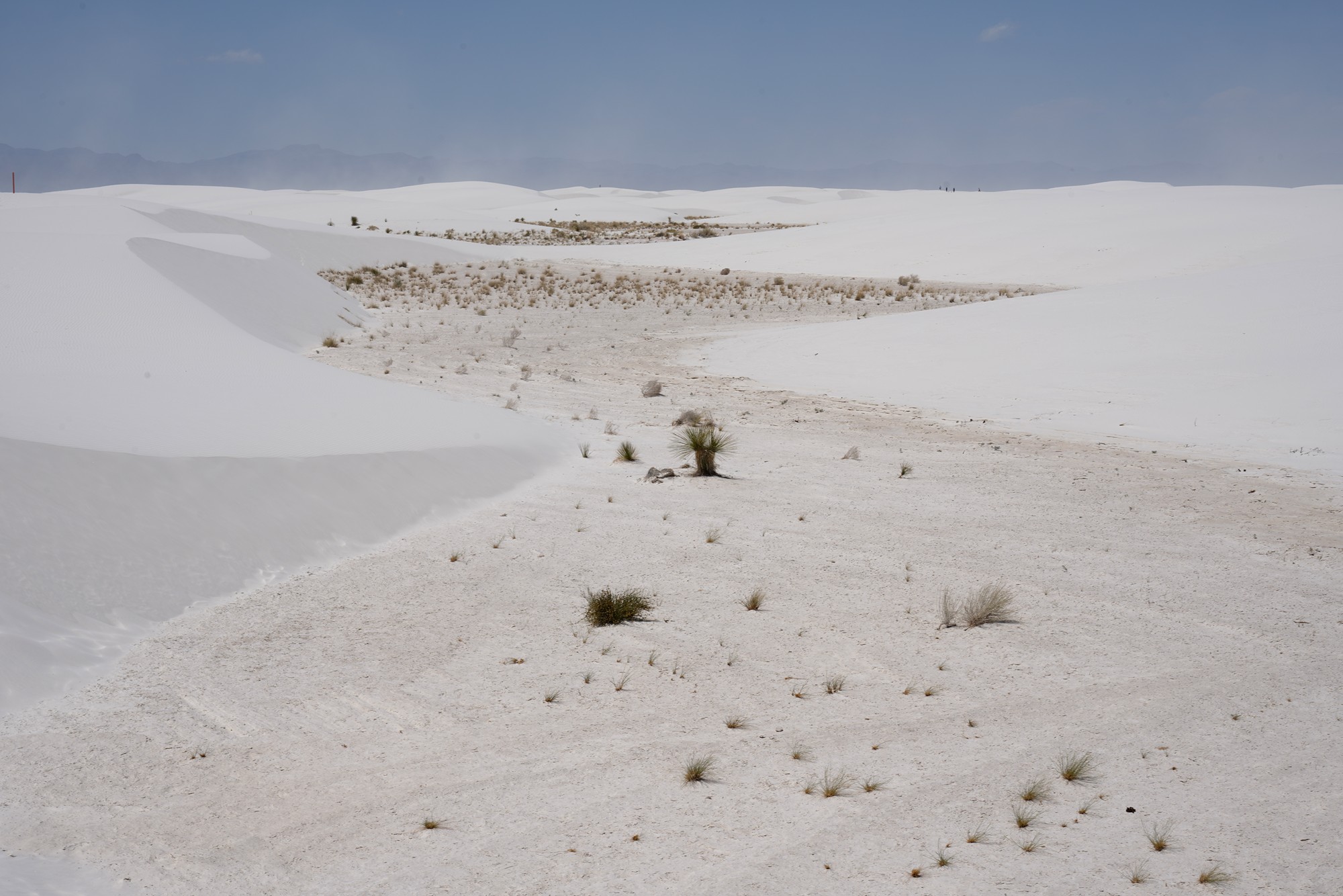 White Sand National Park (76)