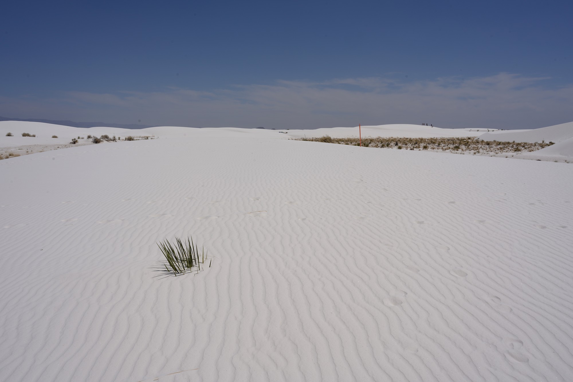 White Sand National Park (79)