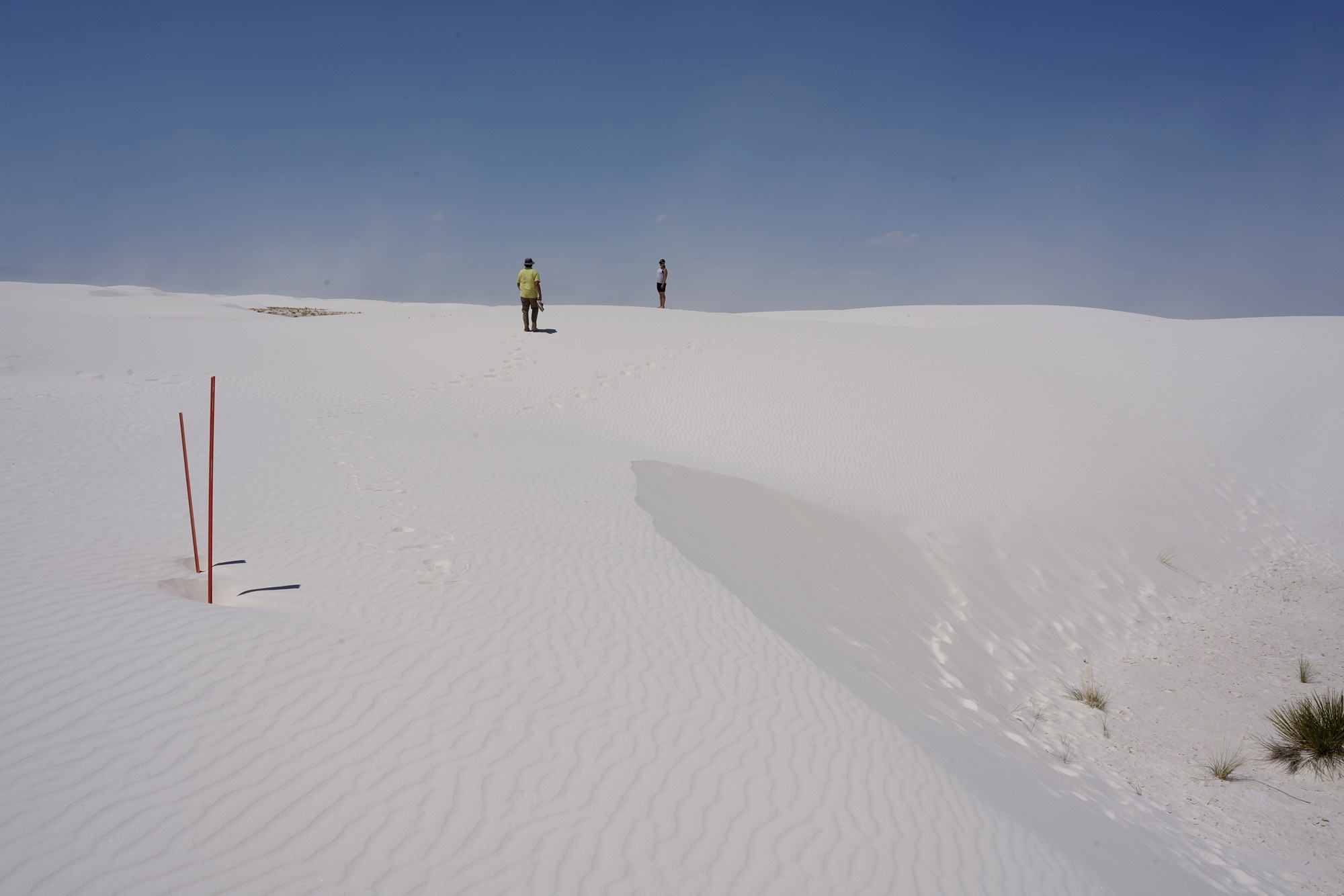 White Sand National Park (80)