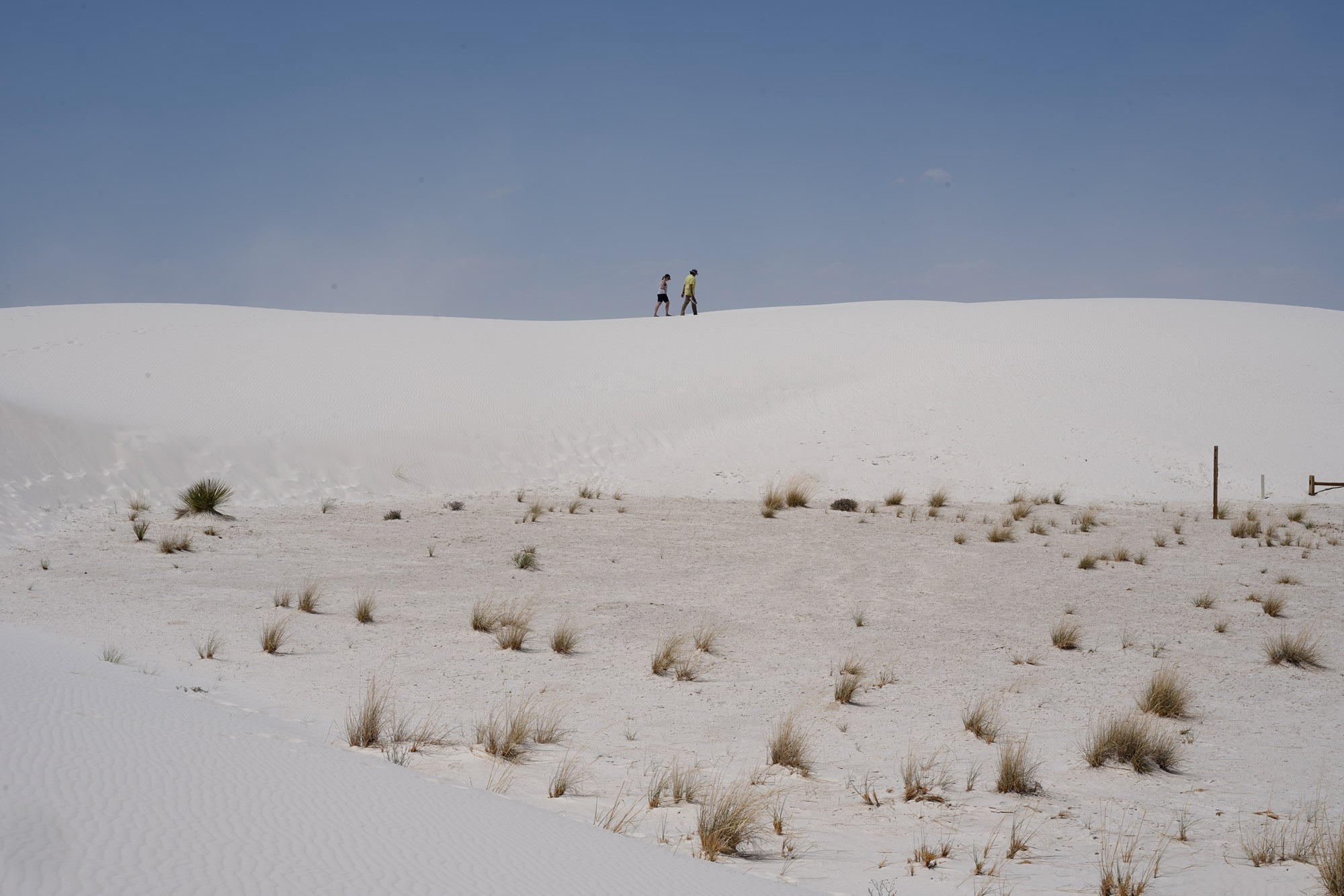 White Sand National Park (81)