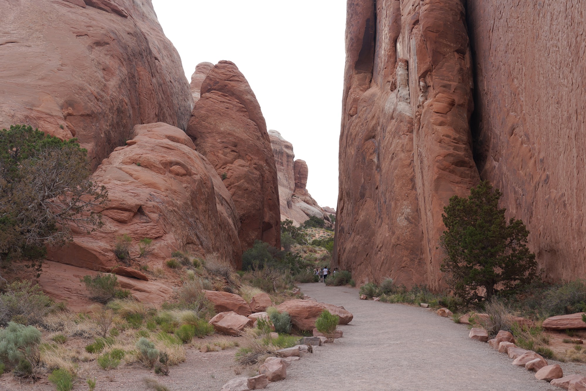 Arches National Park (105)