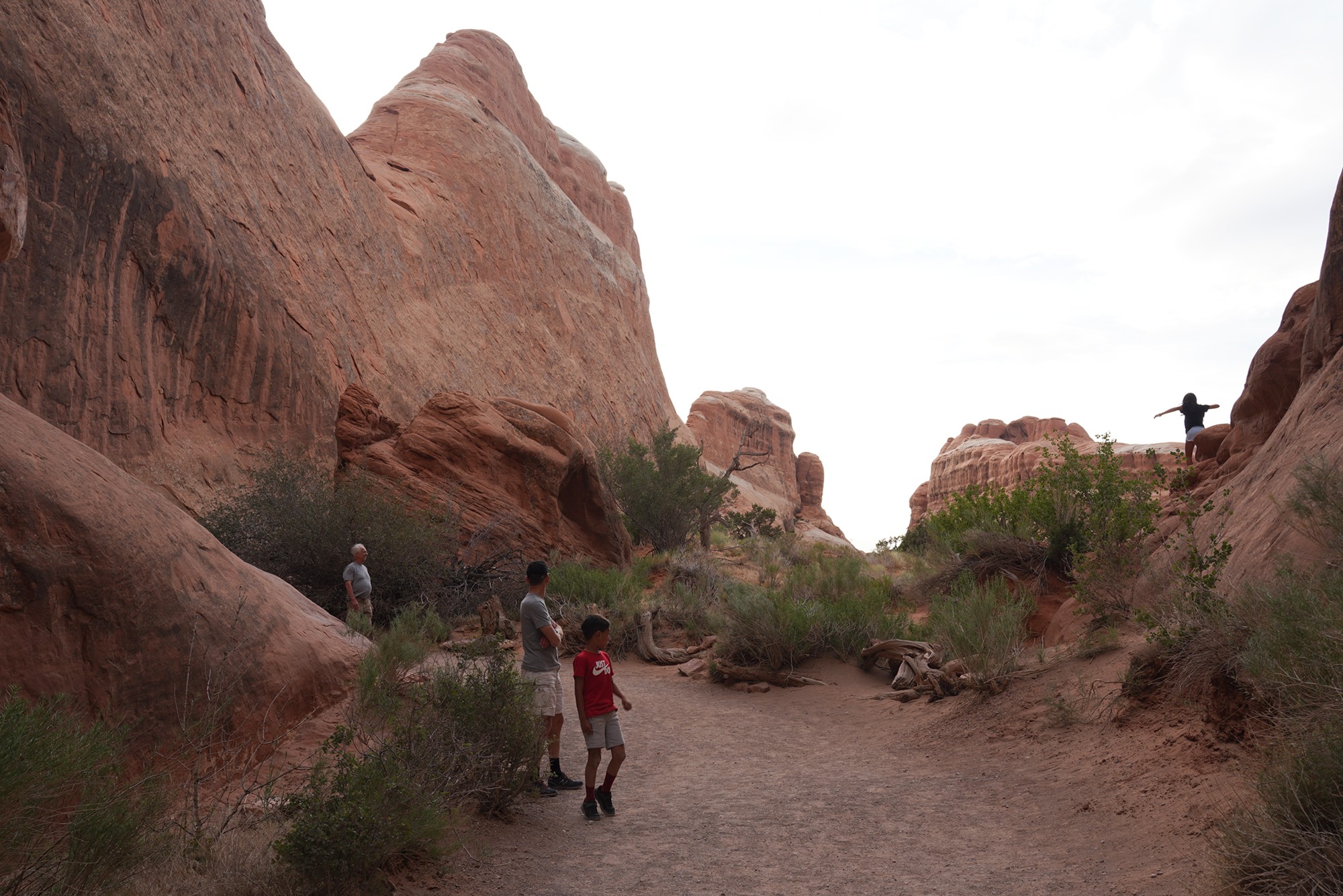 Arches National Park (106)