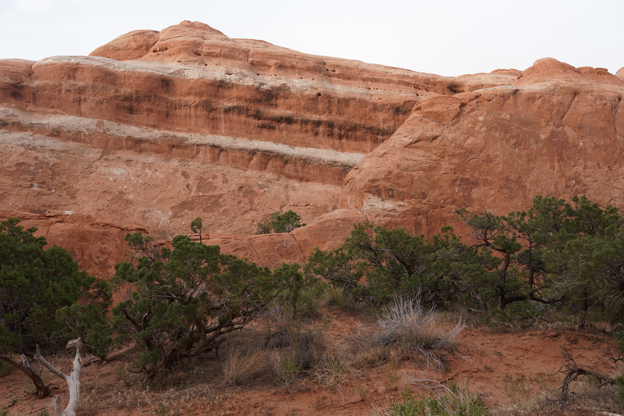 Arches National Park (108)