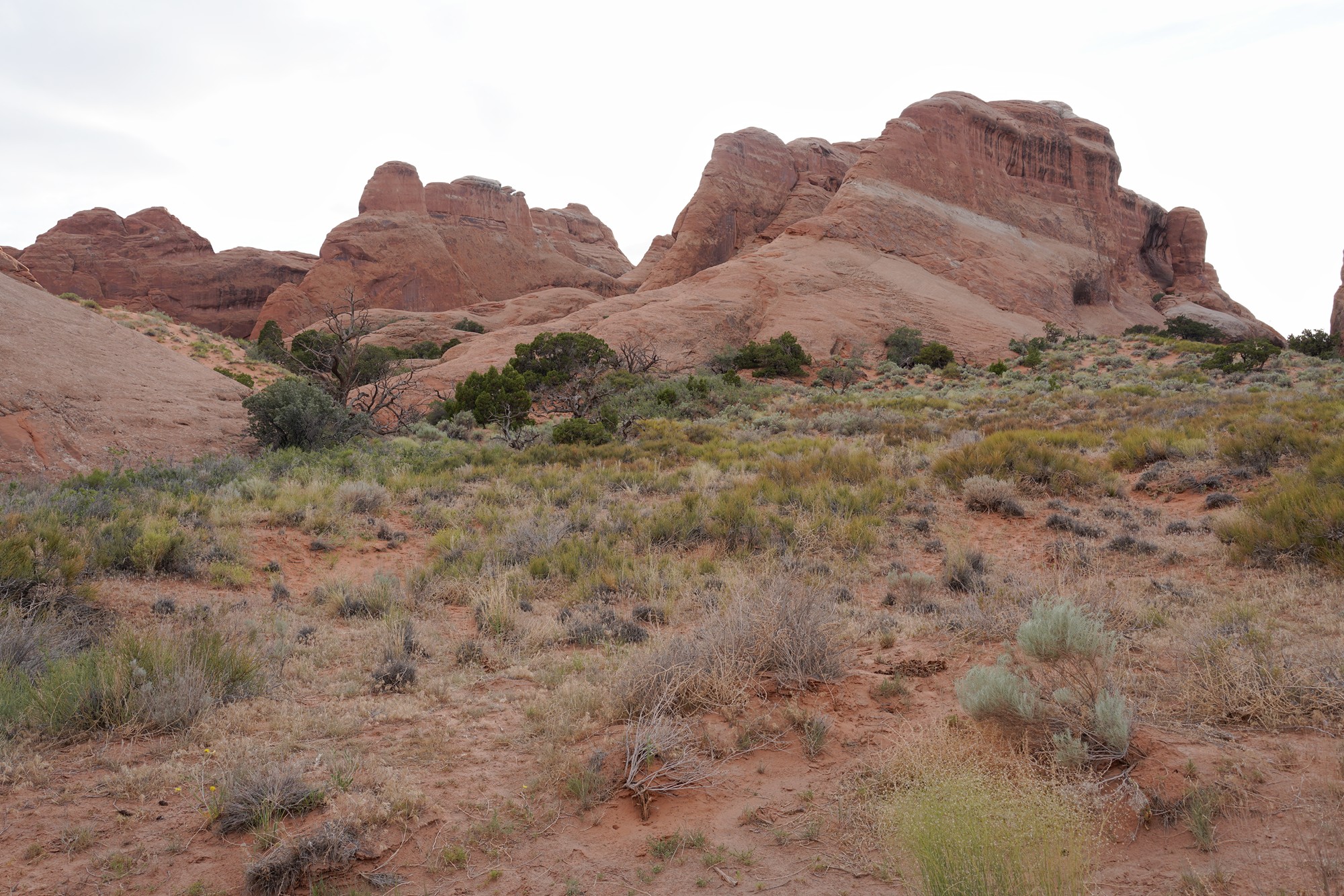 Arches National Park (111)