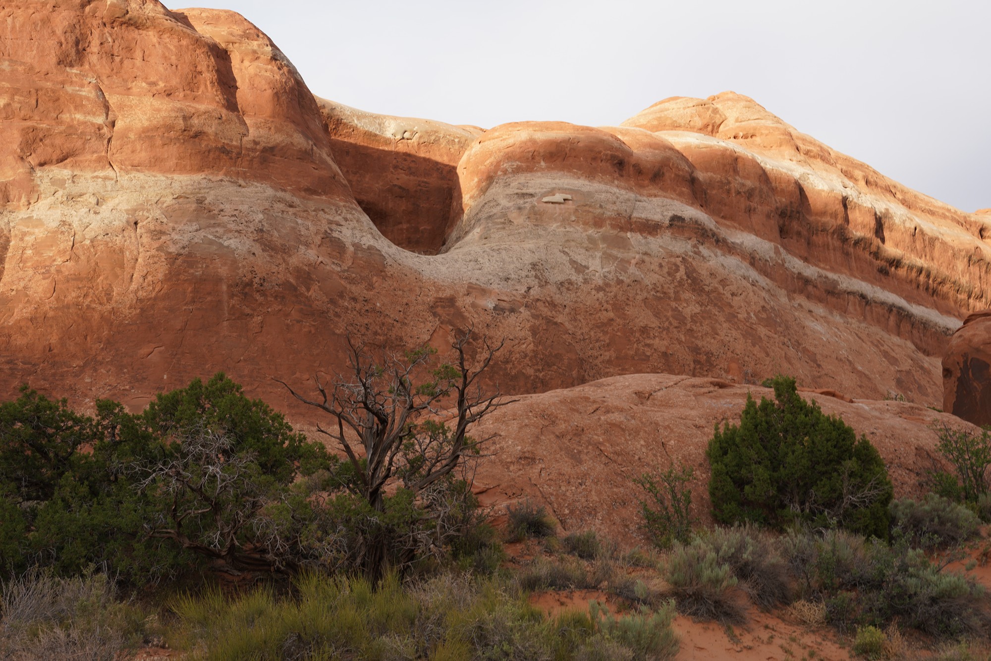 Arches National Park (112)