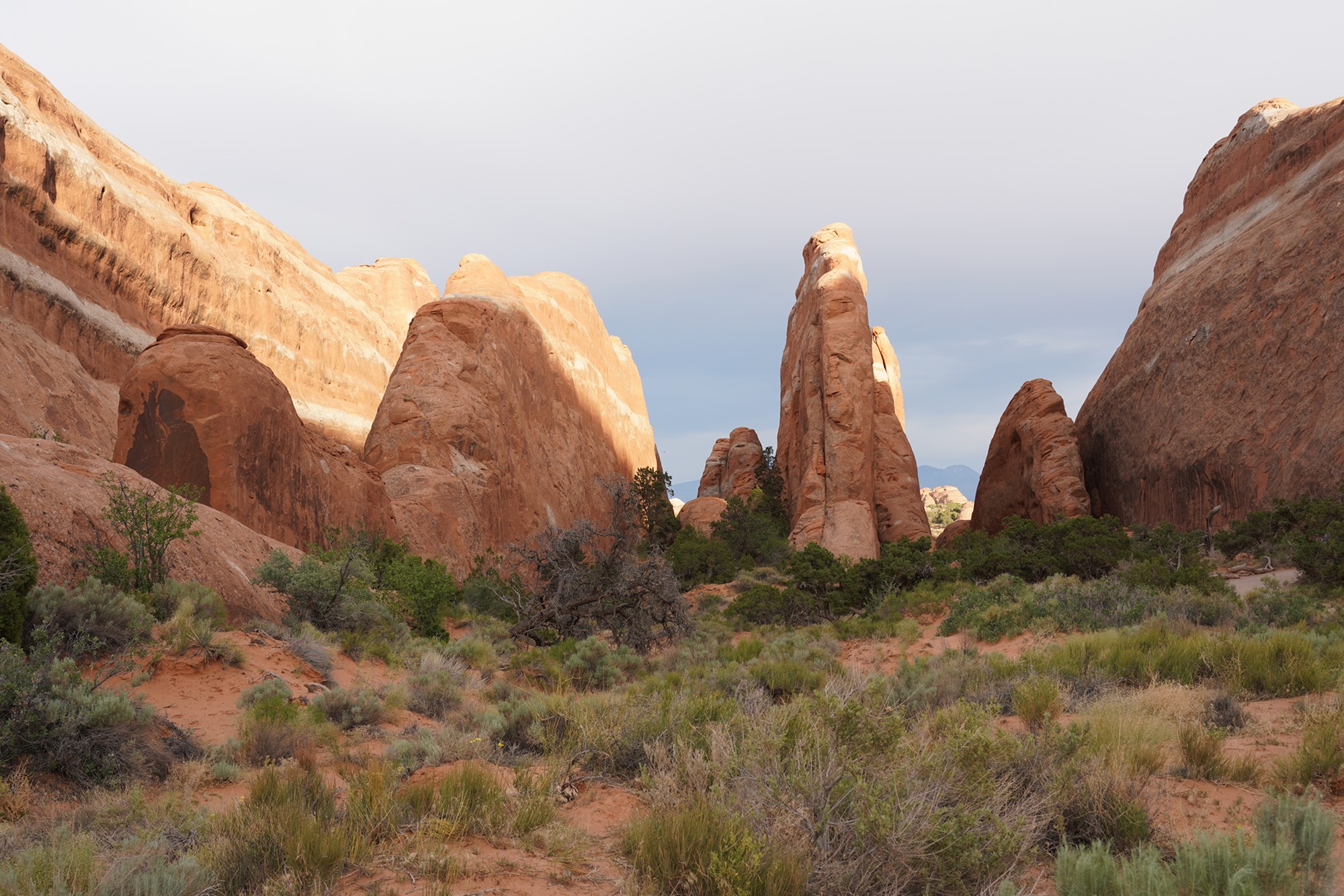 Arches National Park (113)