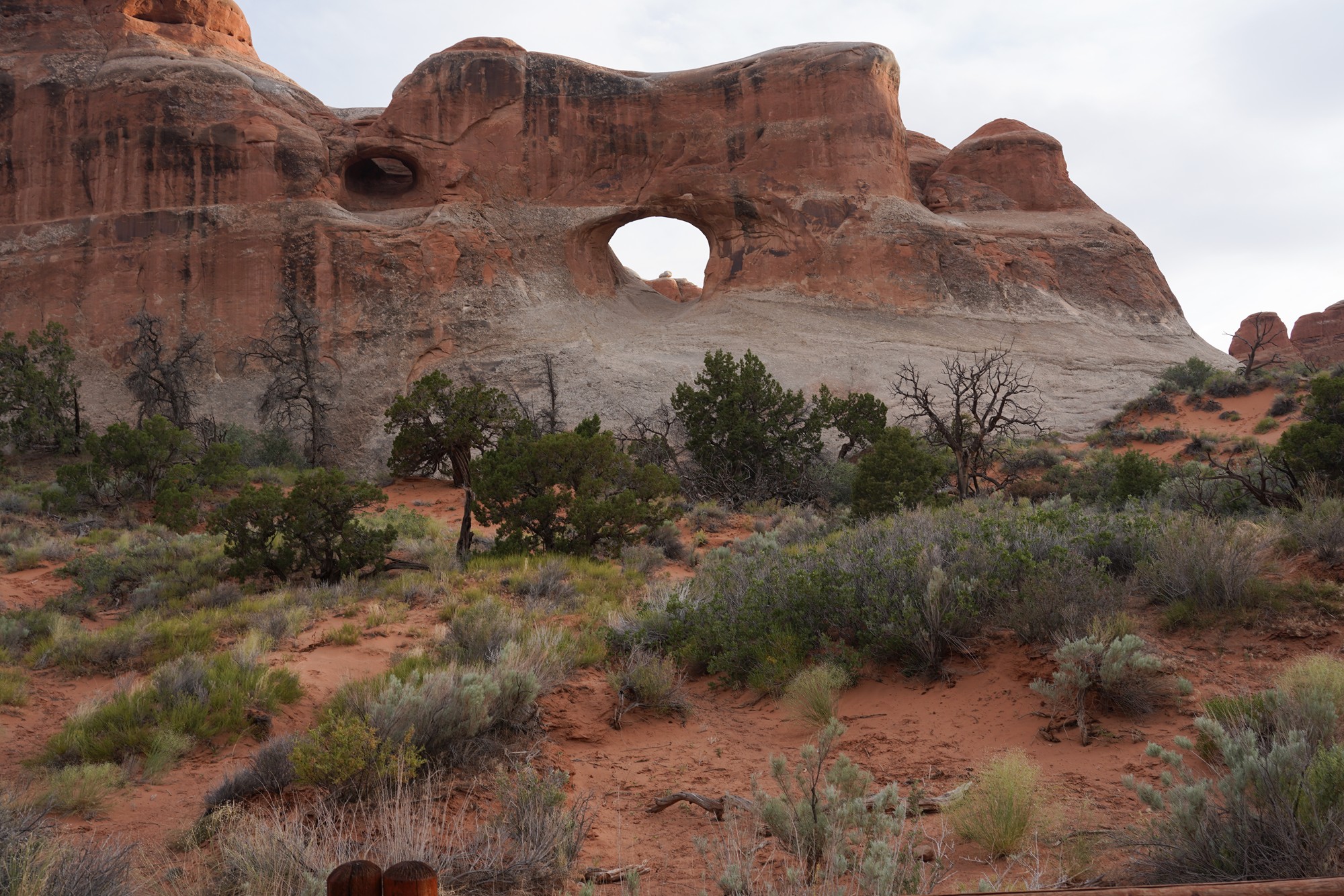 Arches National Park (118)