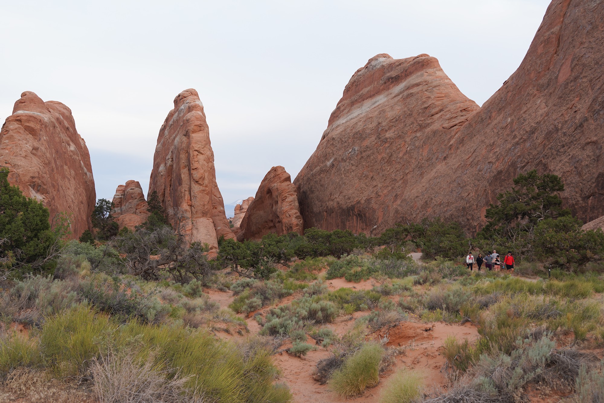 Arches National Park (126)