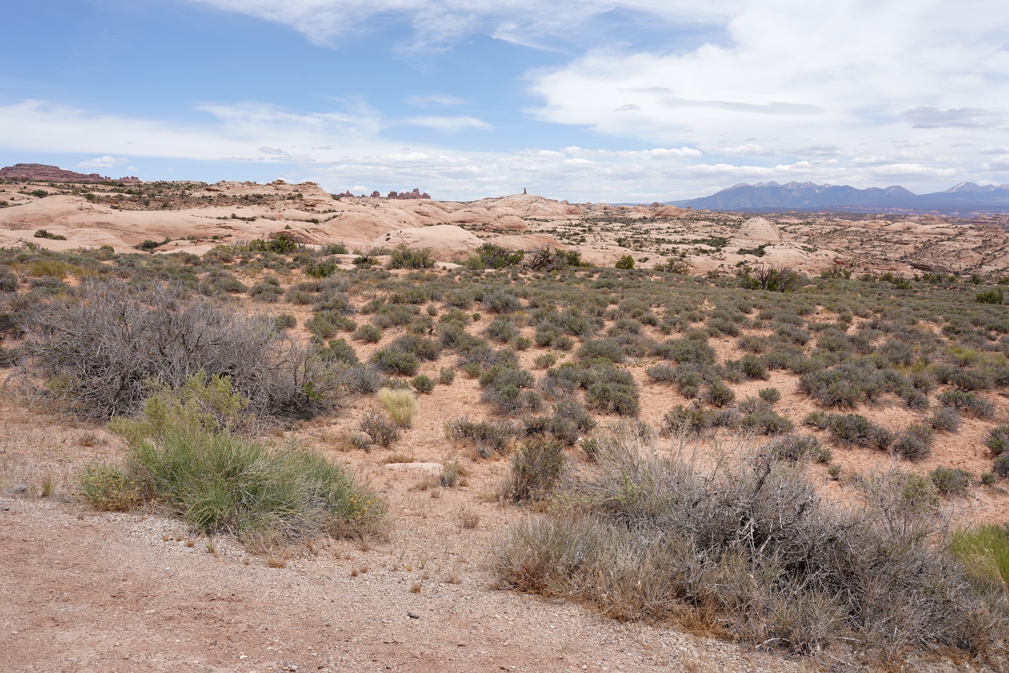 Arches National Park (16)