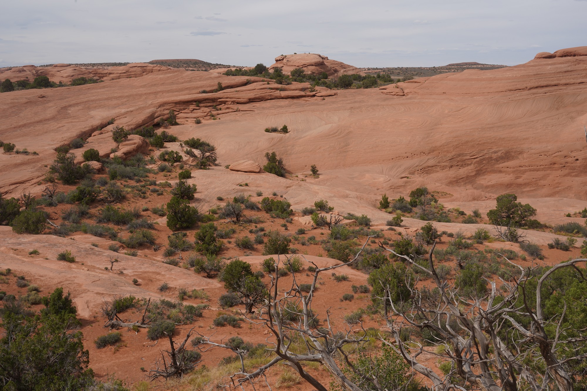 Arches National Park (42)