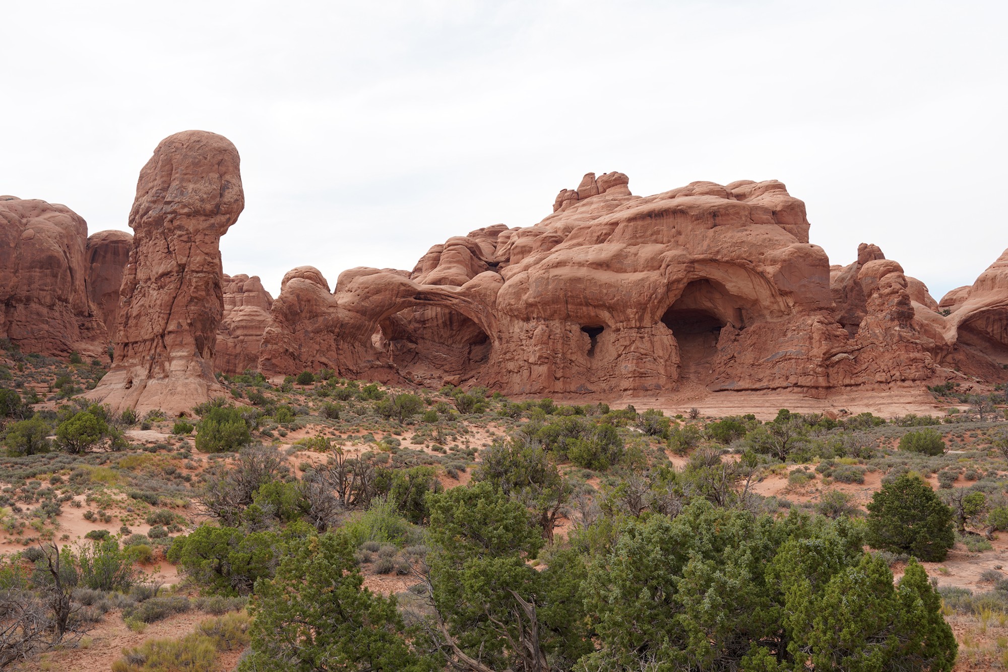 Arches National Park (61)