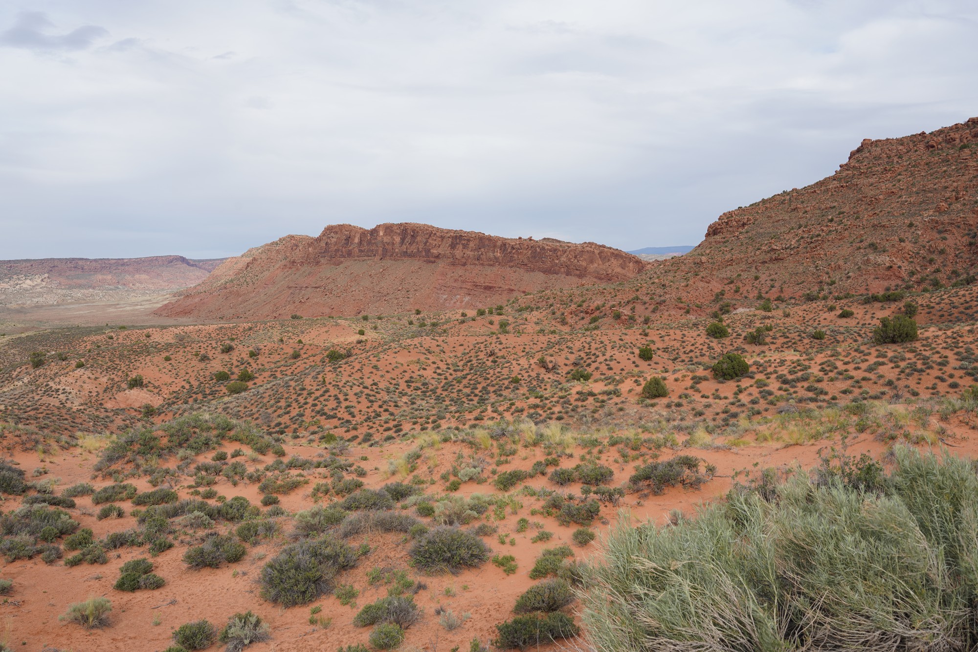 Arches National Park (79)