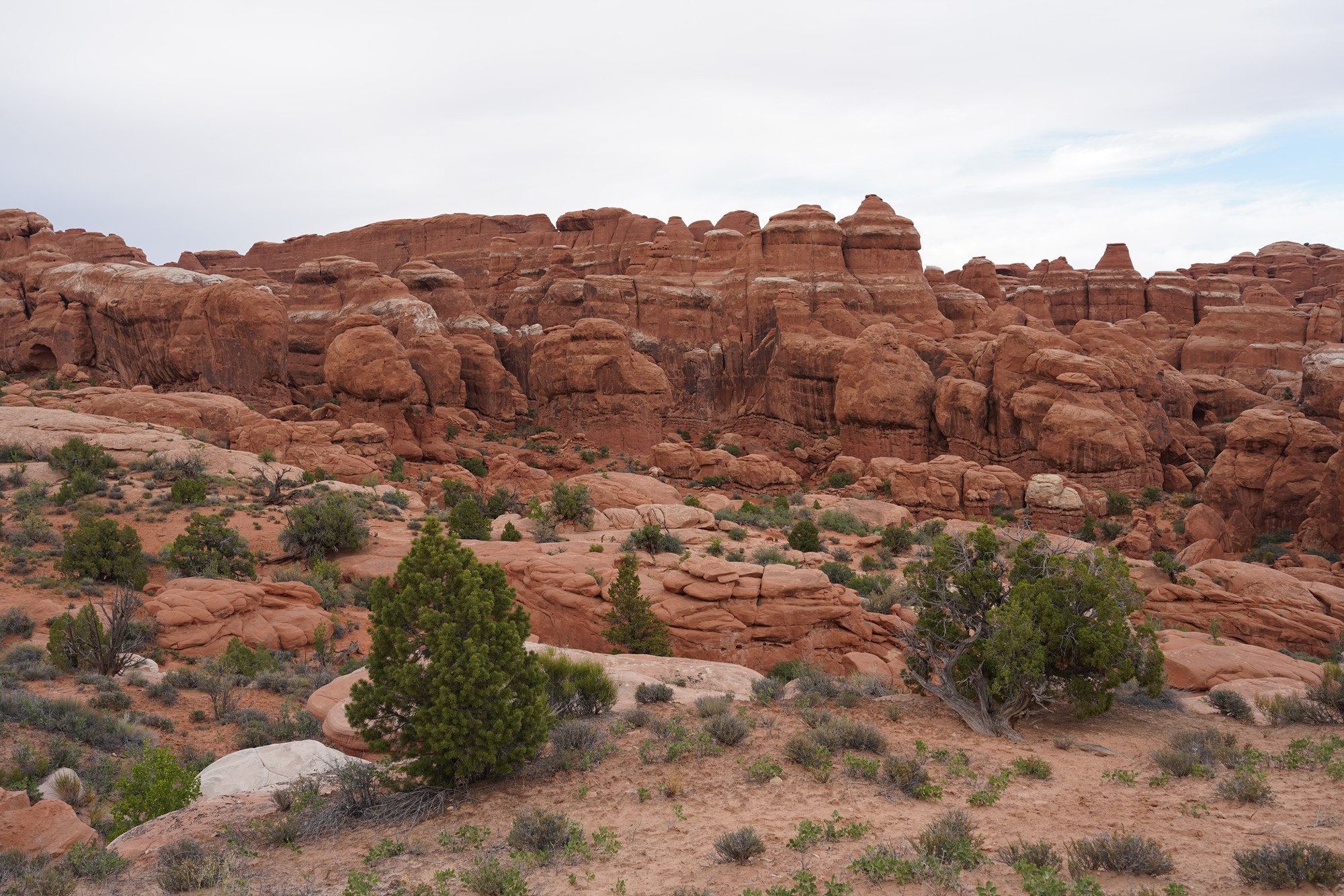 Arches National Park (84)