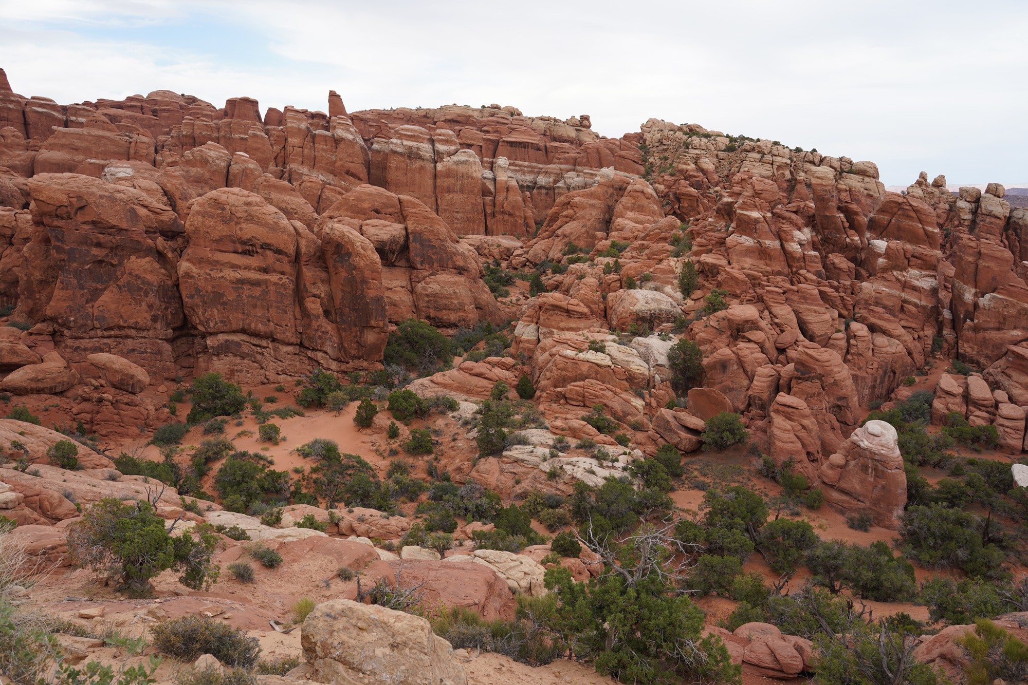 Arches National Park (85)
