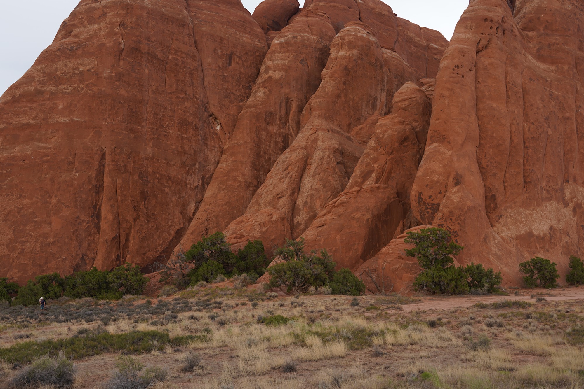 Arches National Park (89)