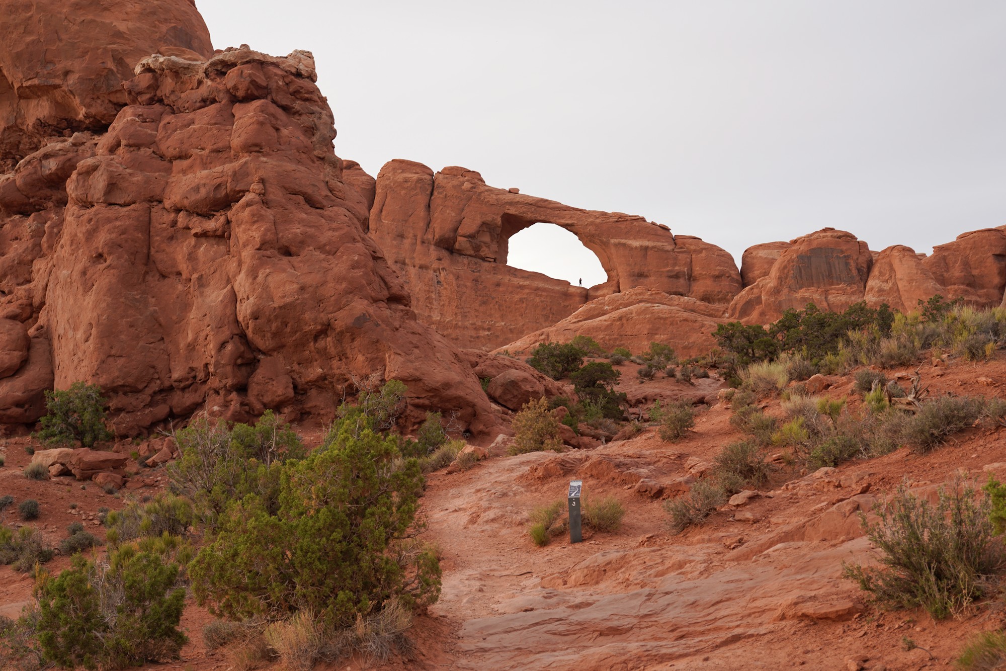 Arches National Park (96)