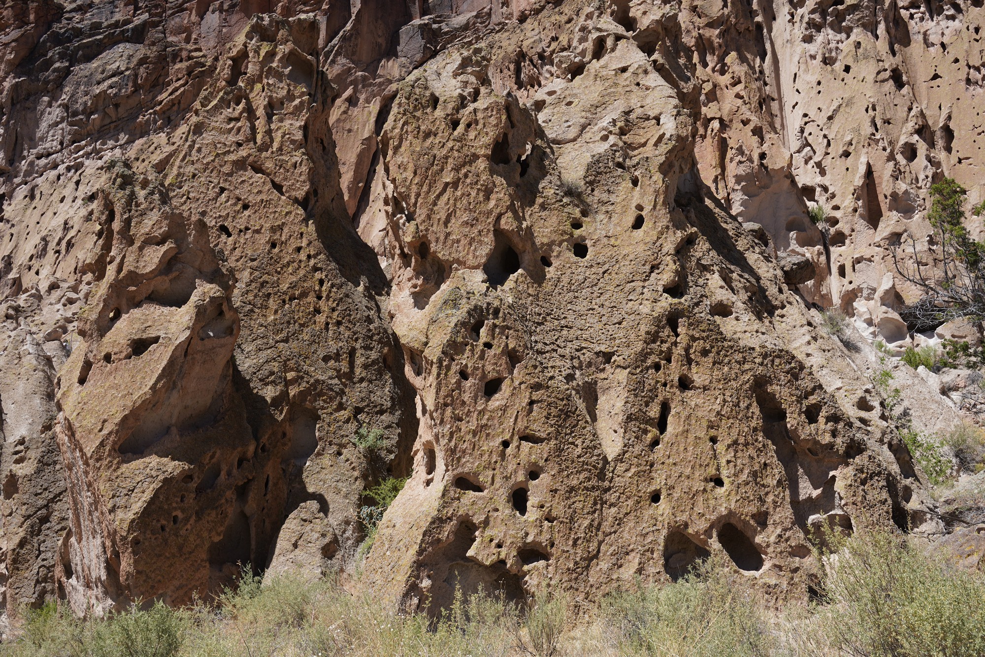 Bandelier National Monument (19)