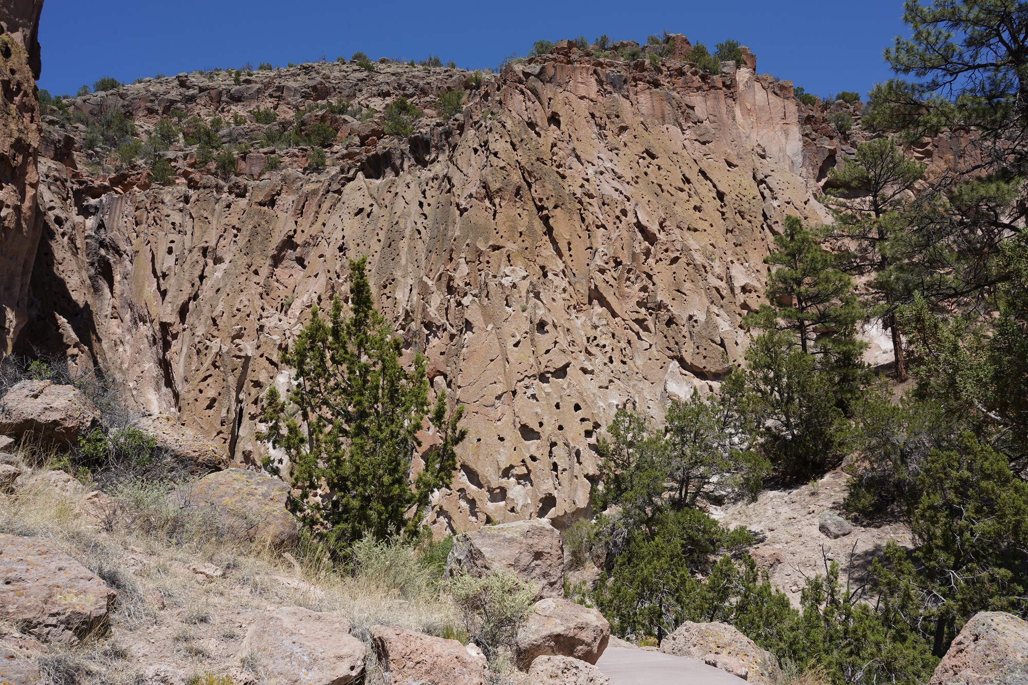 Bandelier National Monument (20)