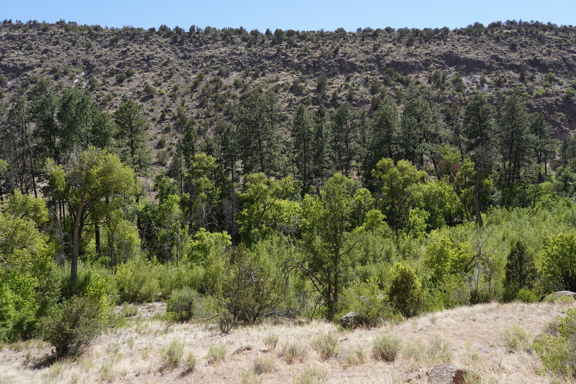 Bandelier National Monument (53)