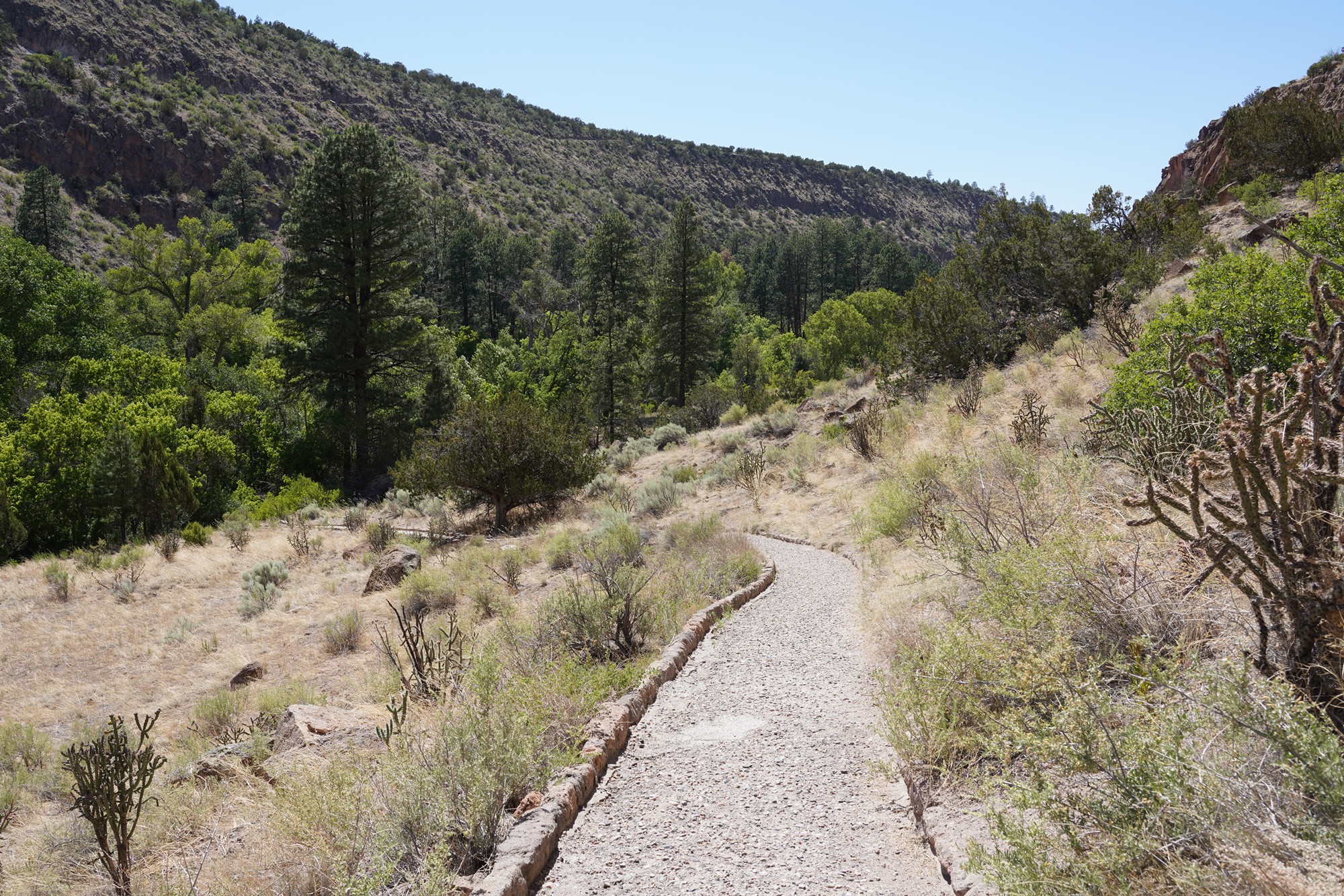 Bandelier National Monument (54)