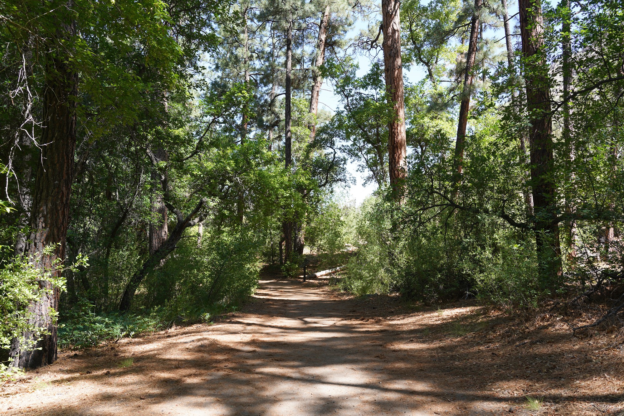 Bandelier National Monument (55)
