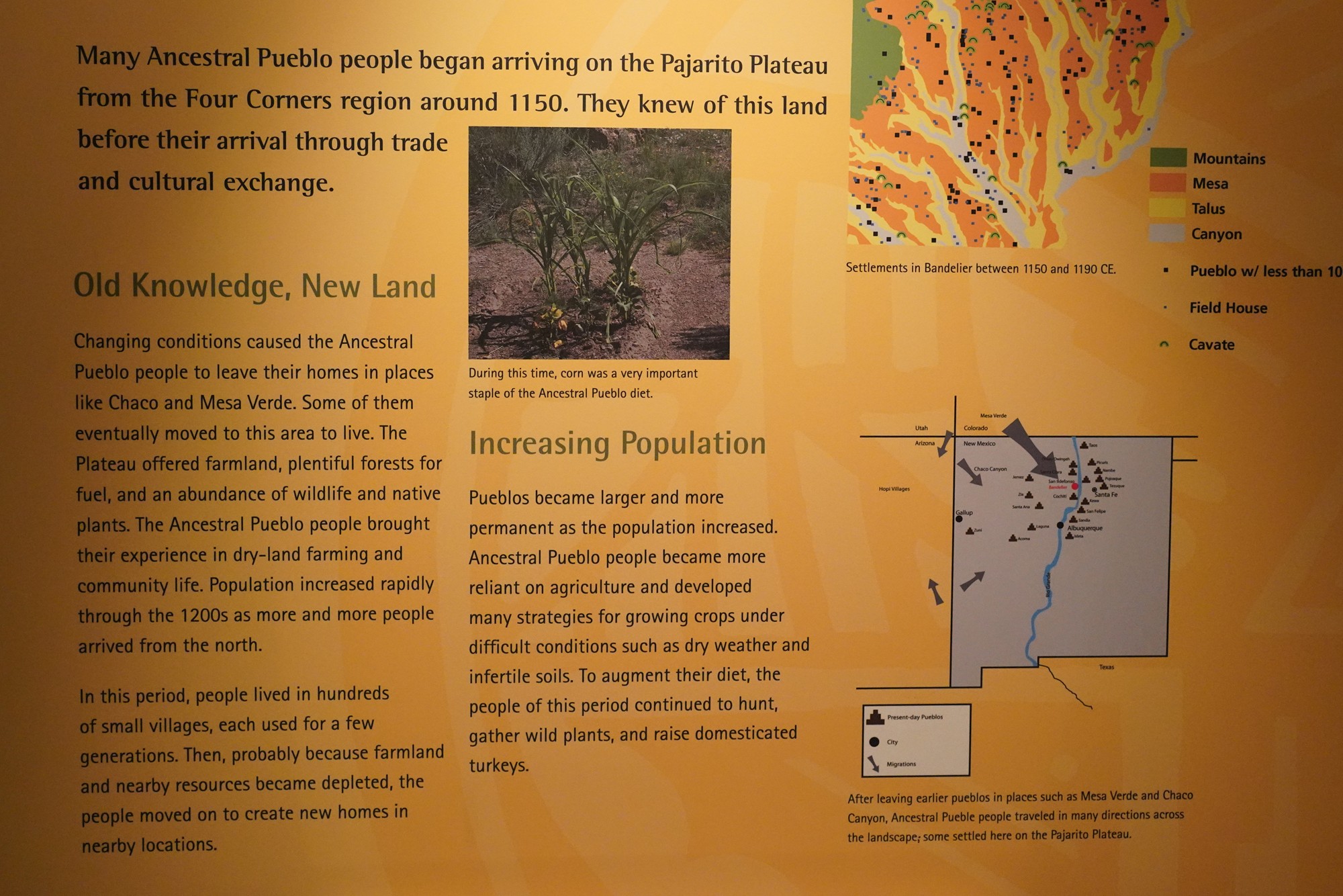 Bandelier National Monument (57)