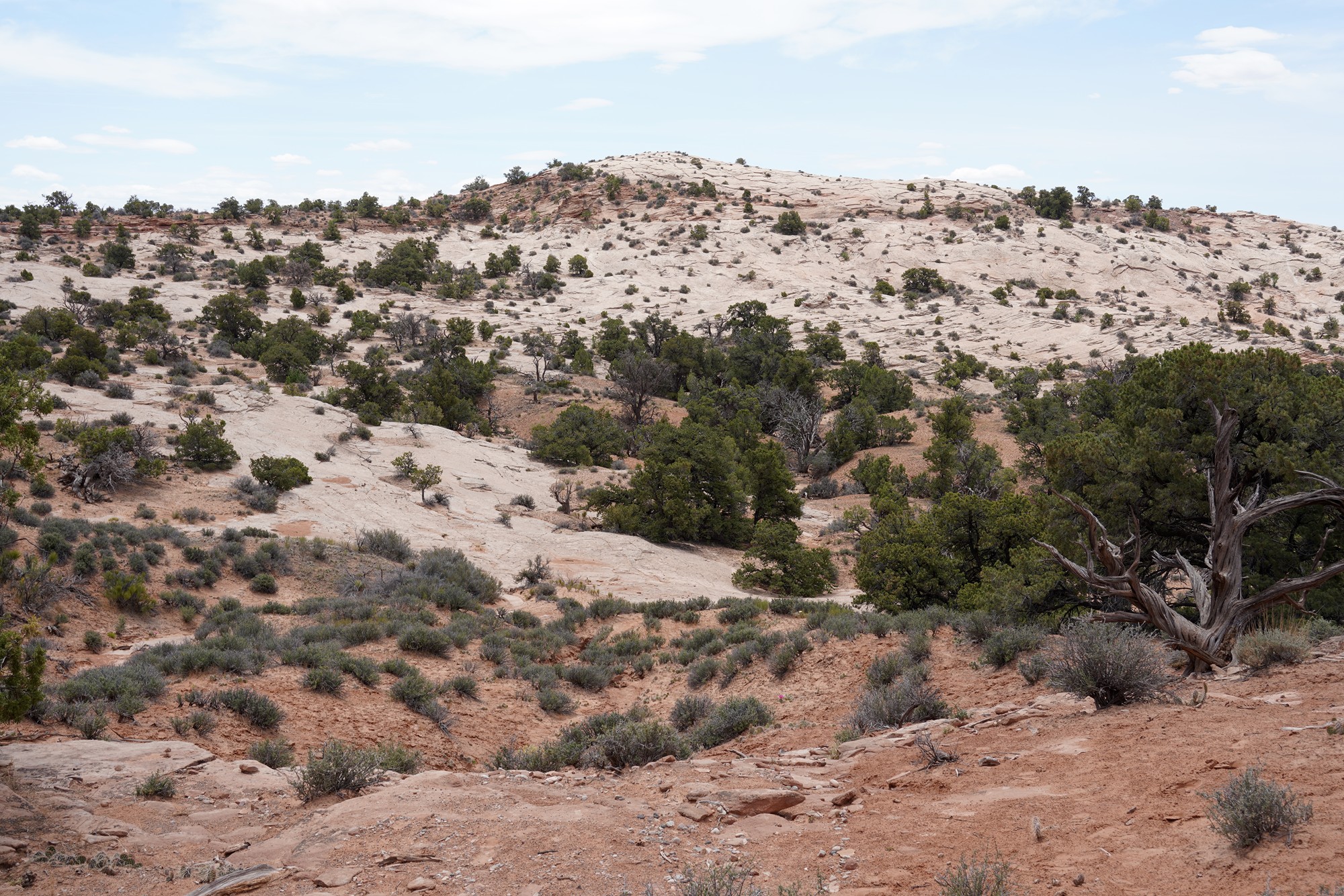 Canyonlands National Park (24)