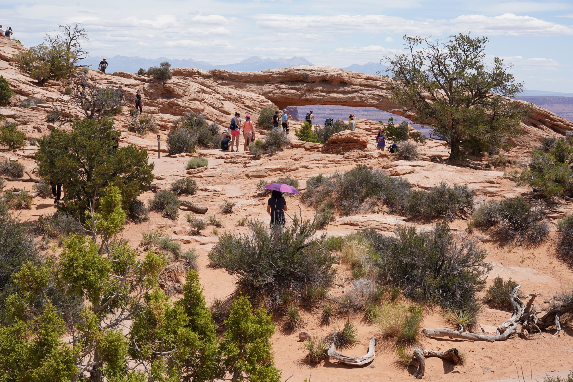 Canyonlands National Park (34)